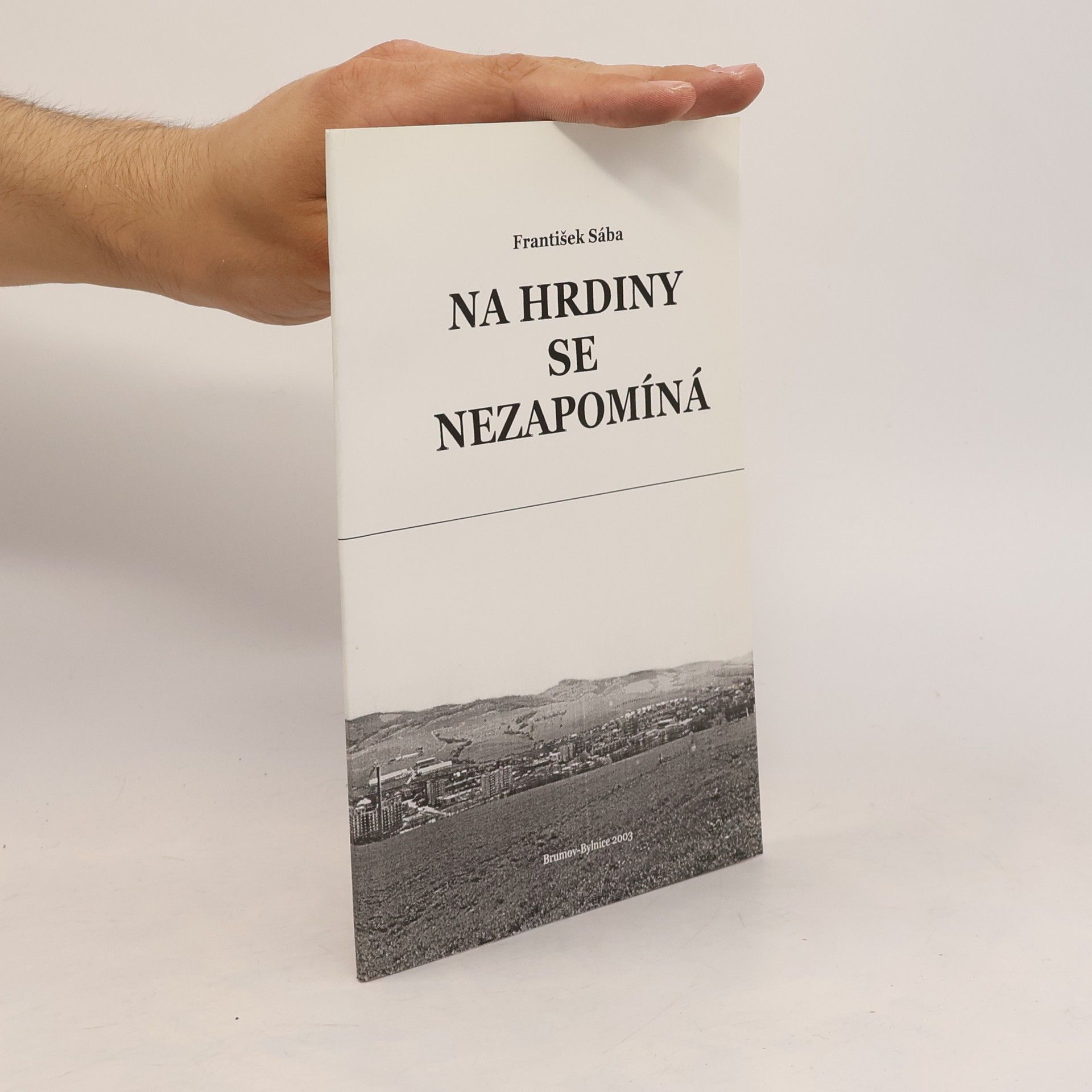 František Sába Na hrdiny se nezapomíná