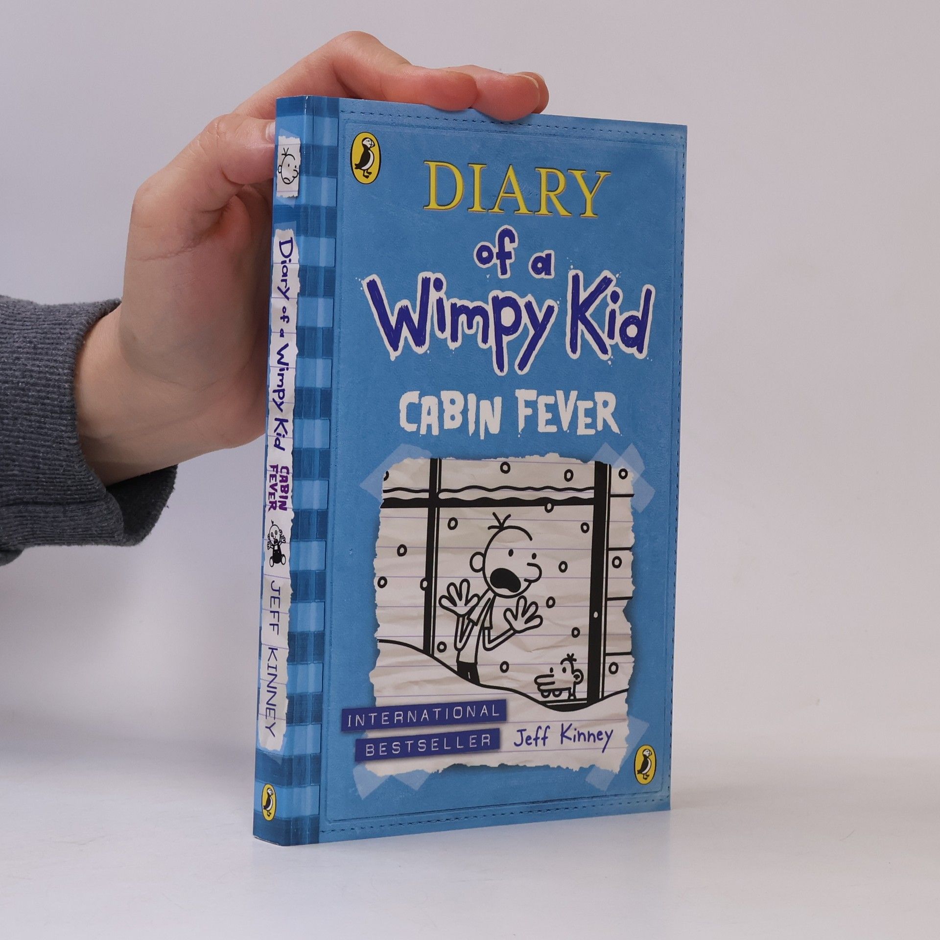 Diary of a Wimpy Kid. Cabin Fever