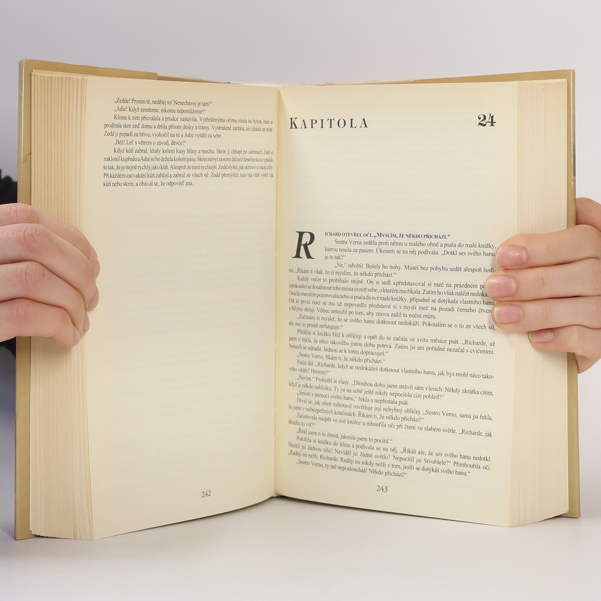 Terry Goodkind Kámen slz
