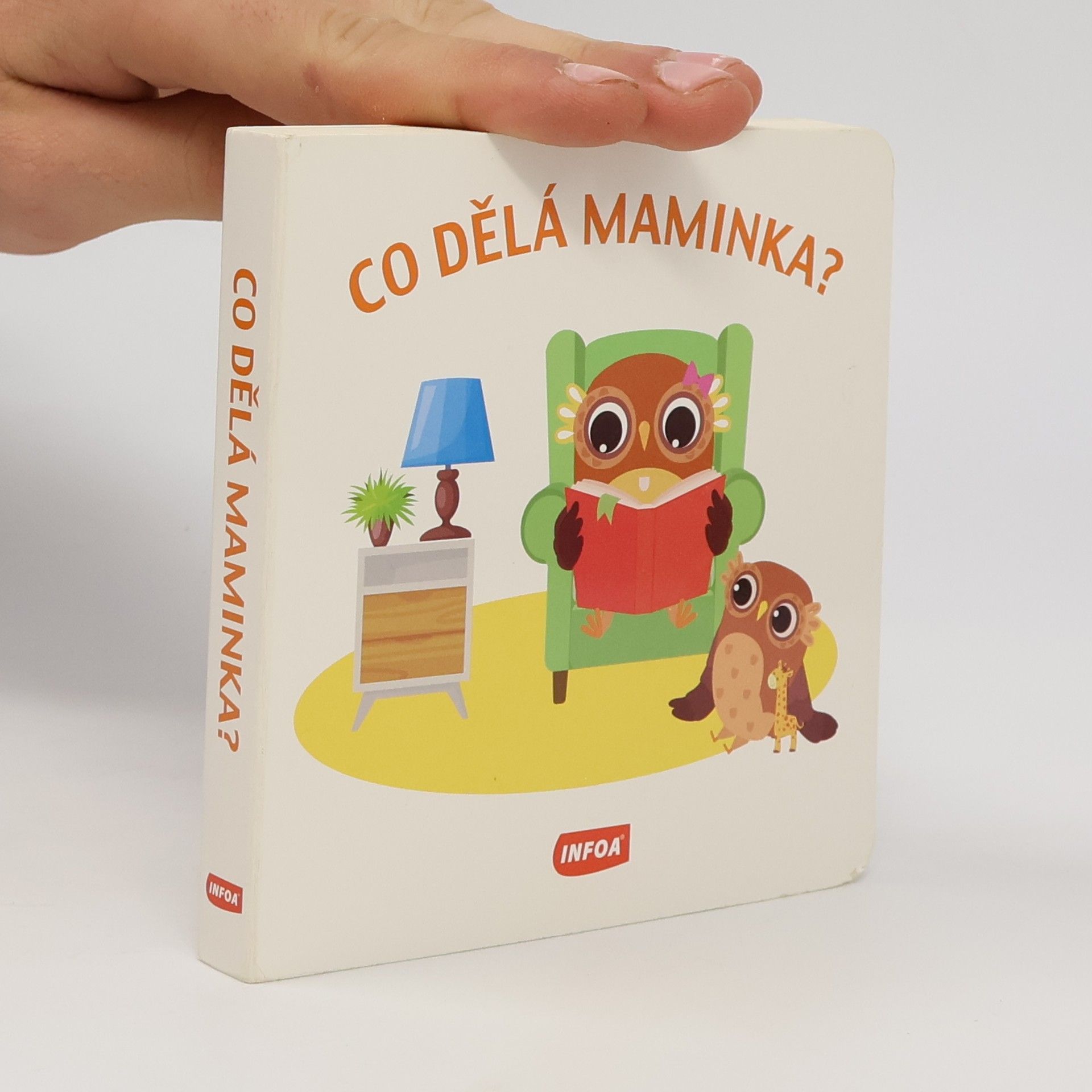 Kolektiv autorů Co dělá maminka?