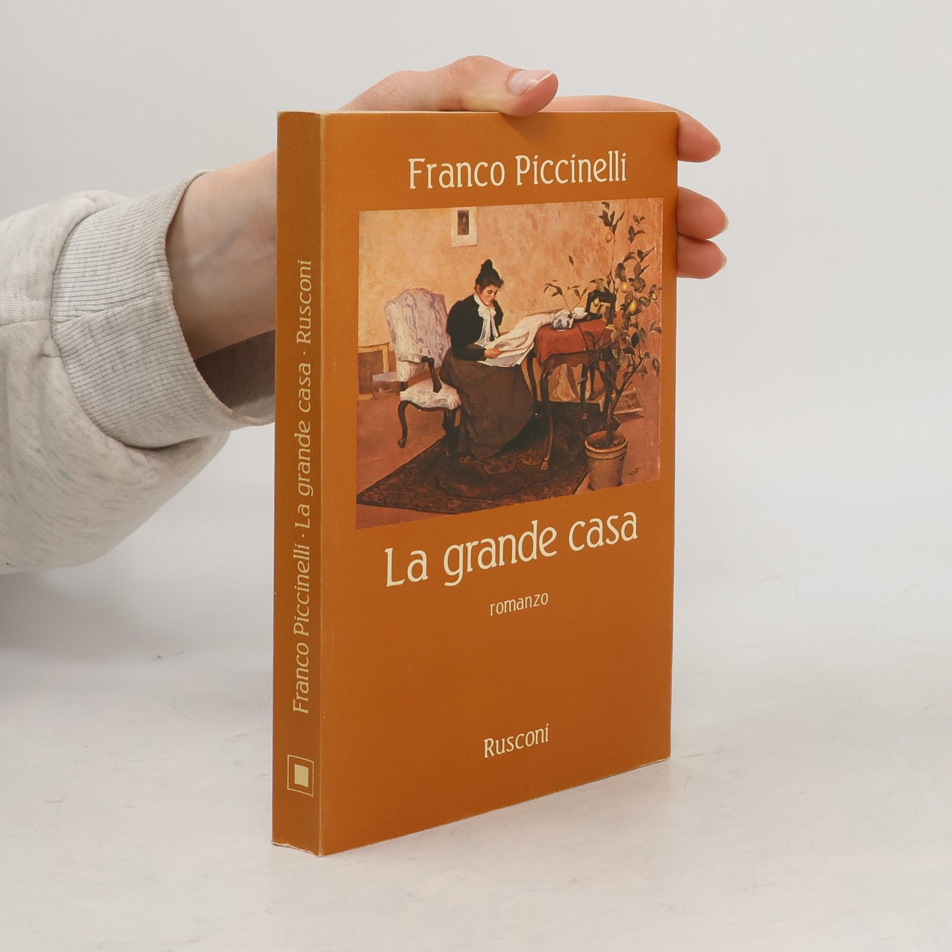 Franco Piccinelli La grande casa