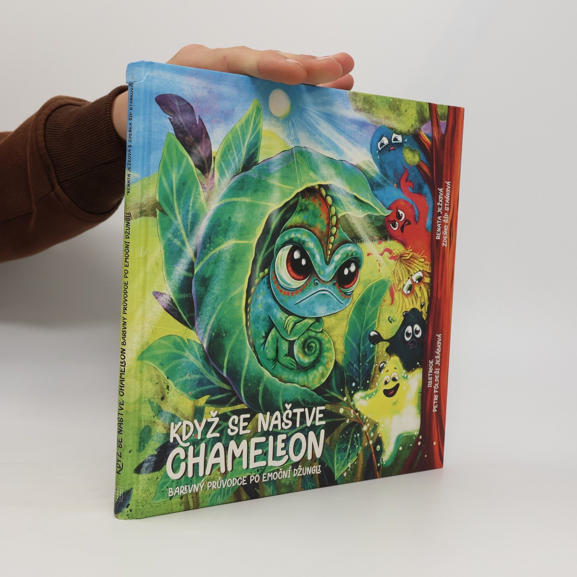 Zdeňka Šíp Staňková Když se naštve chameleon