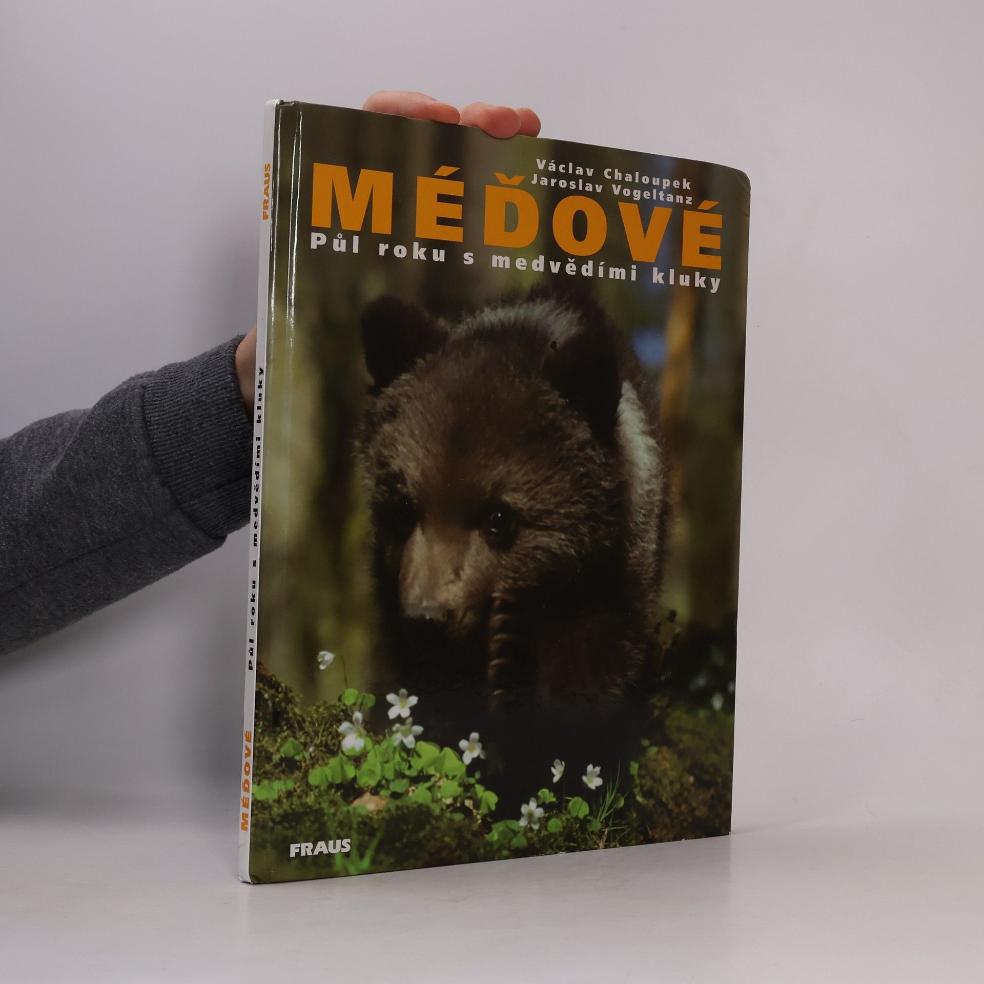 Václav Chaloupek Méďové. Půl roku s medvědími kluky