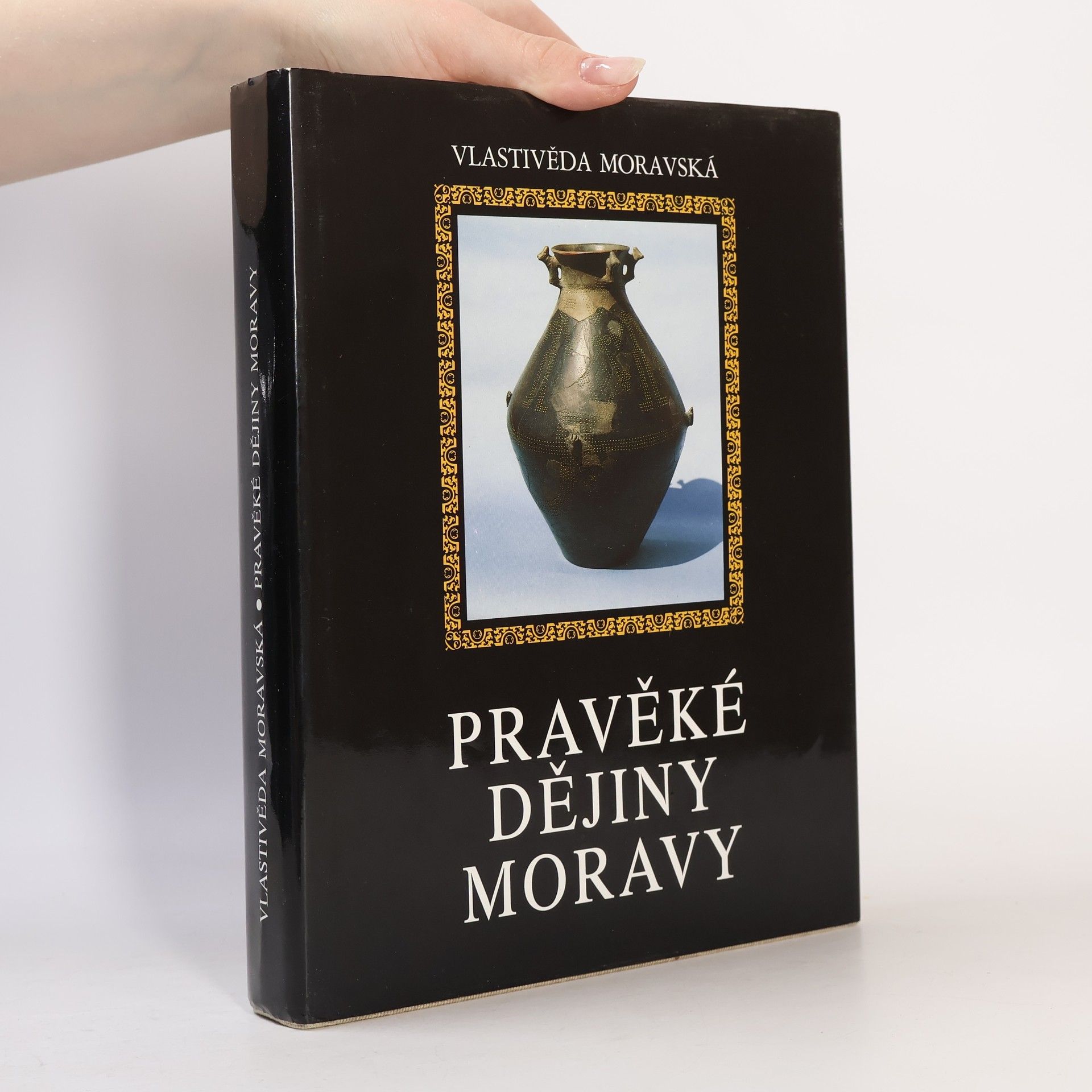 Vladimír Podborský Pravěké dějiny Moravy, Nová řada - Sv. 3