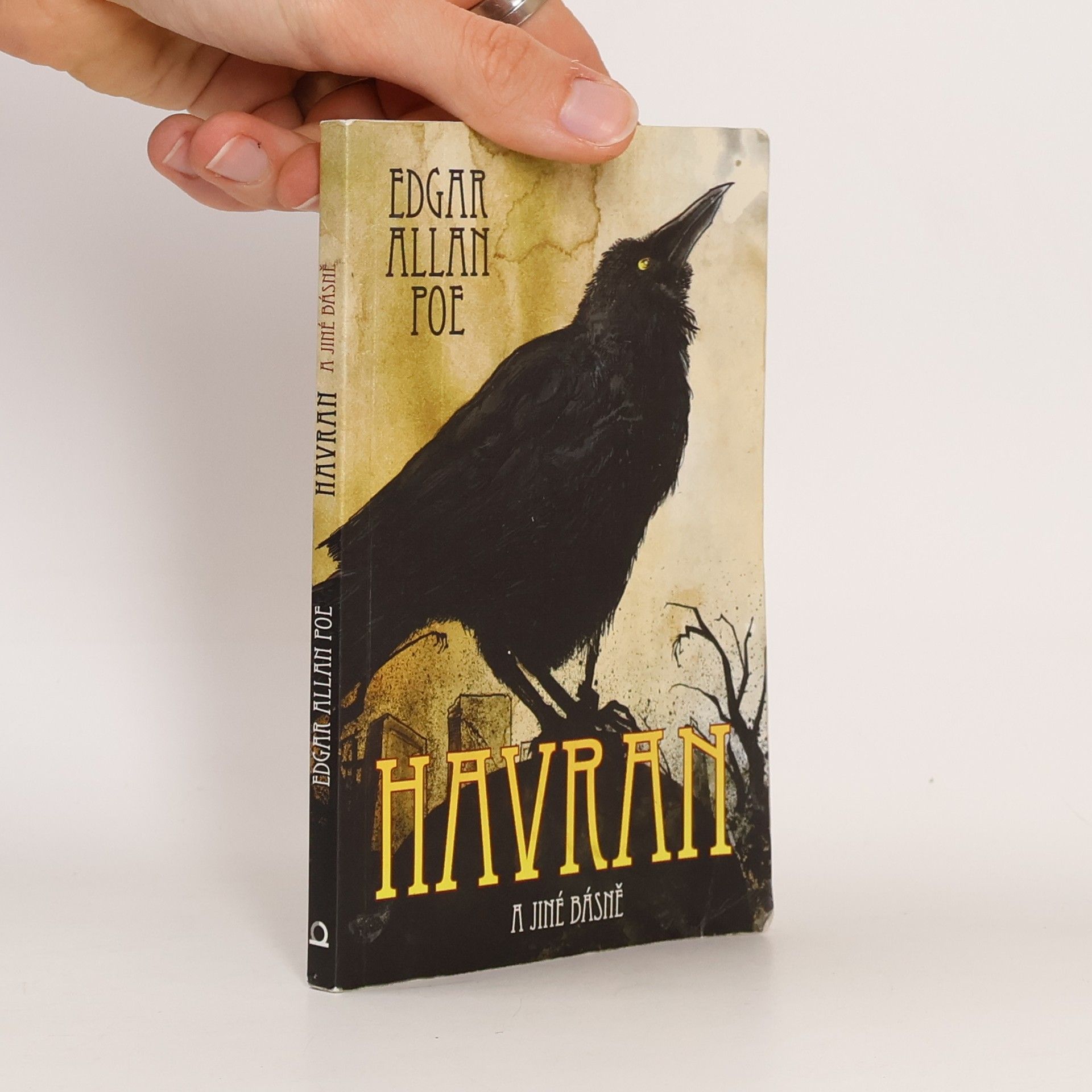 Edgar Allan Poe Havran a jiné básně