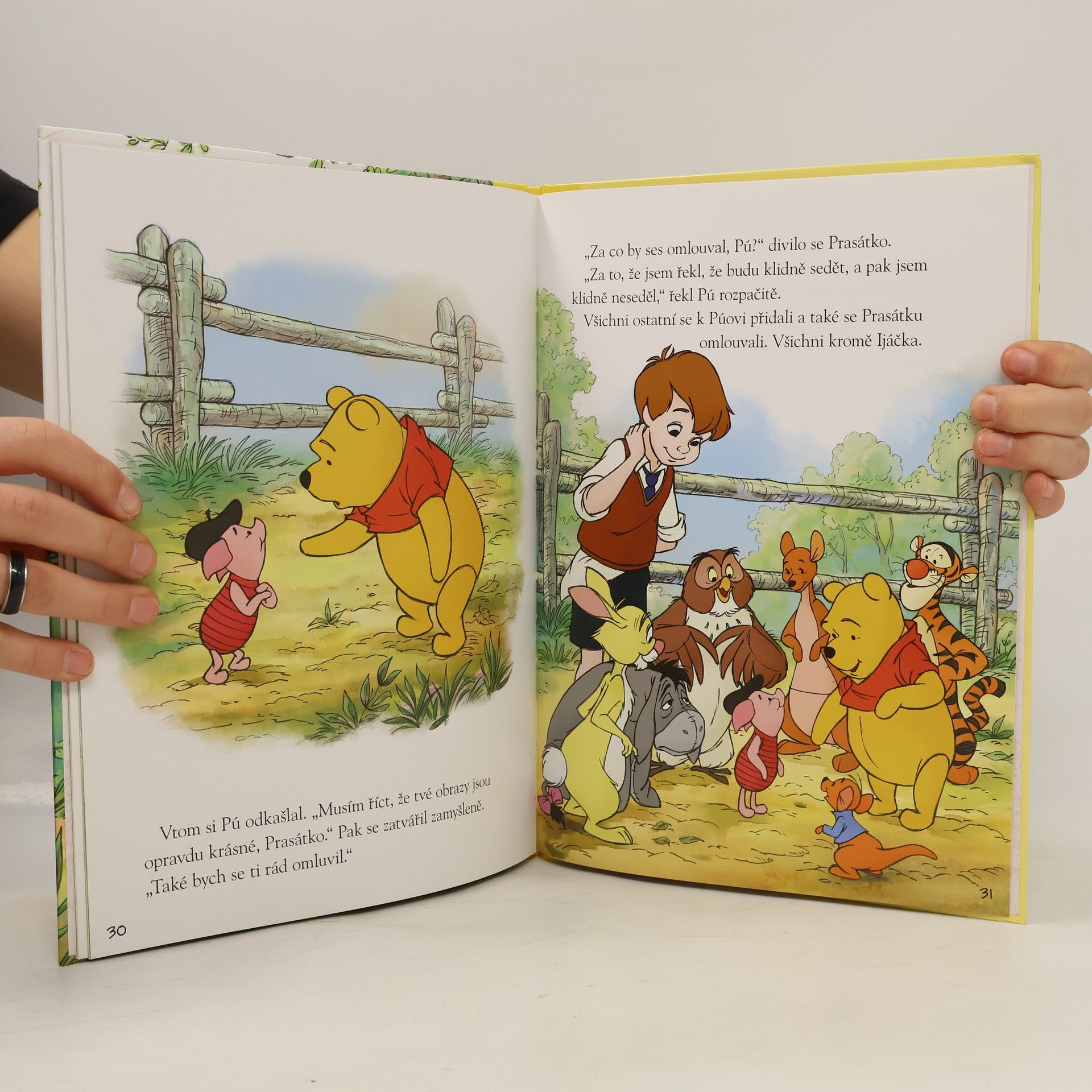 Walt Disney Medvídek Pú - Obrazy přátelství