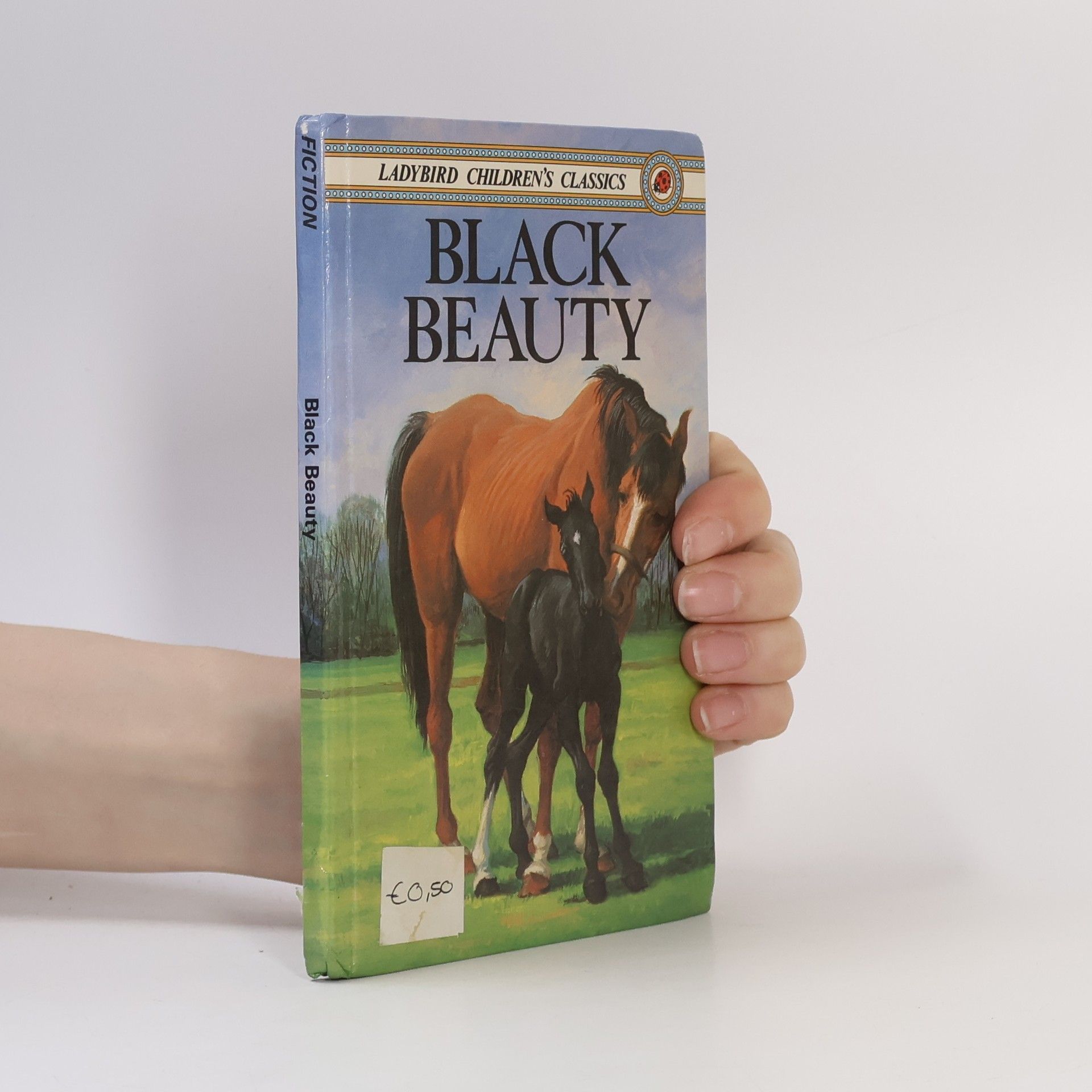 Betty Evans Black Beauty