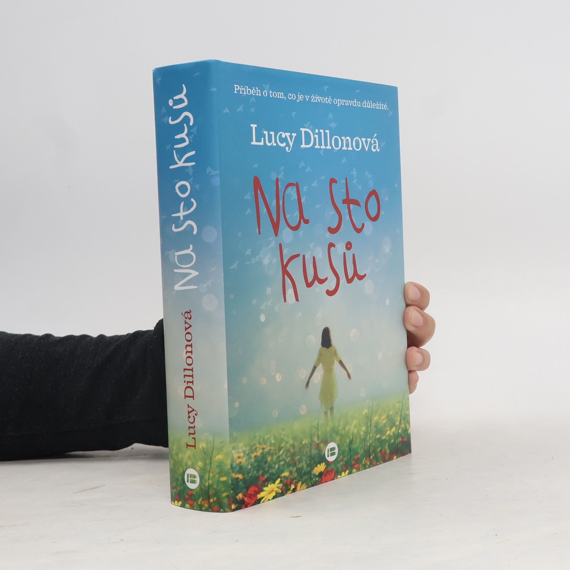 Lucy Dillon Na sto kusů