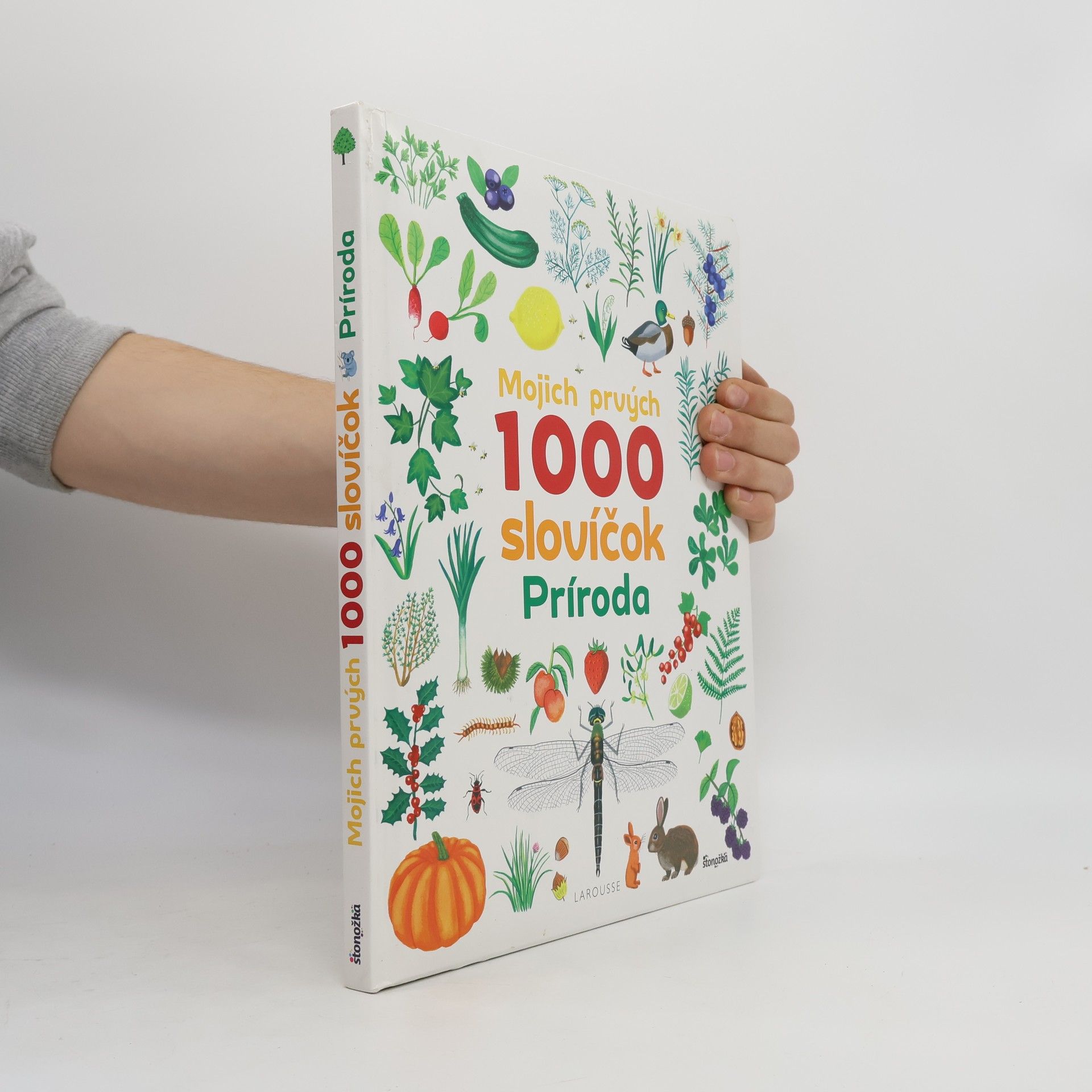 Kolektiv autorů Mojich prvých 1000 slovíčok - Príroda