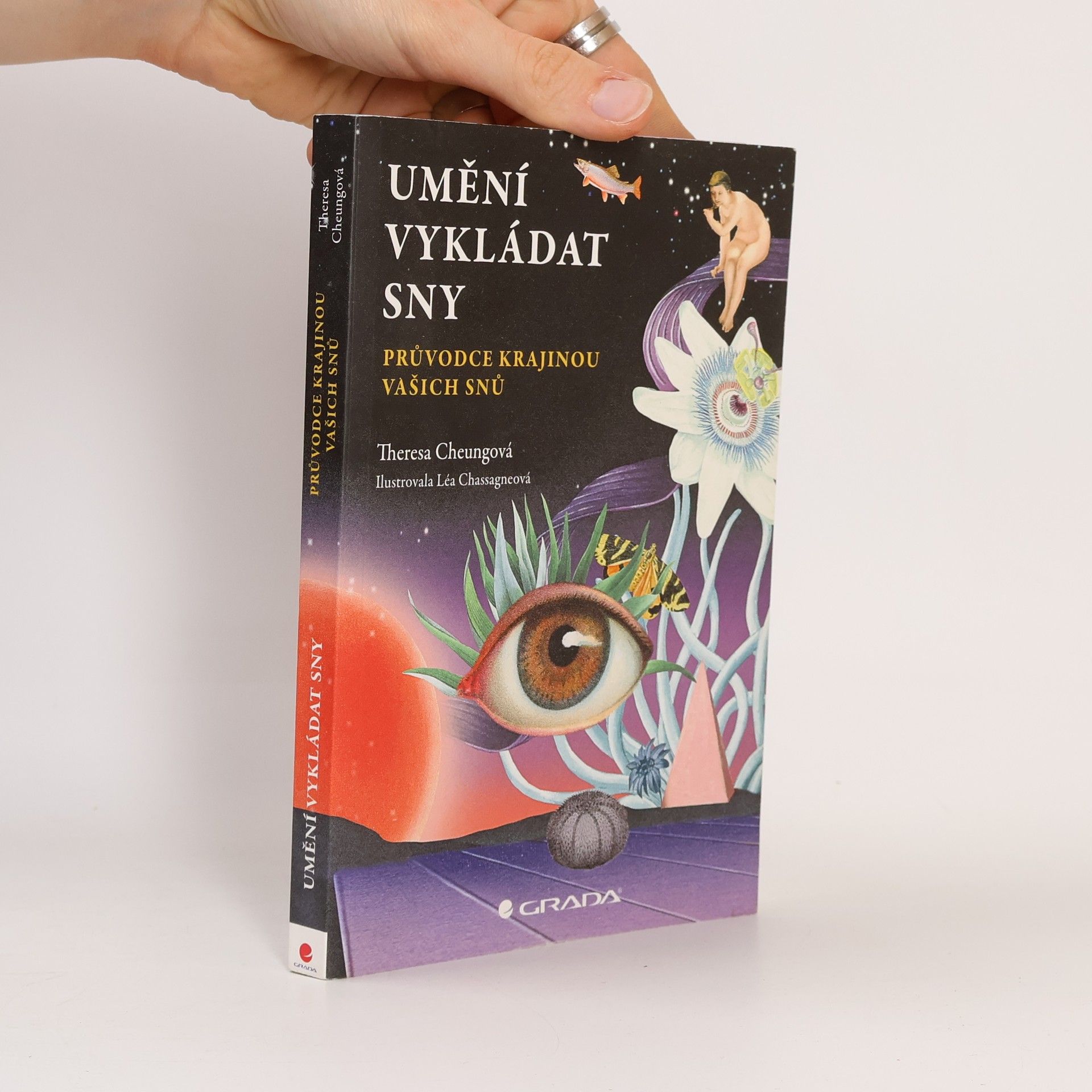 Umění vykládat sny: průvodce krajinou vašich snů