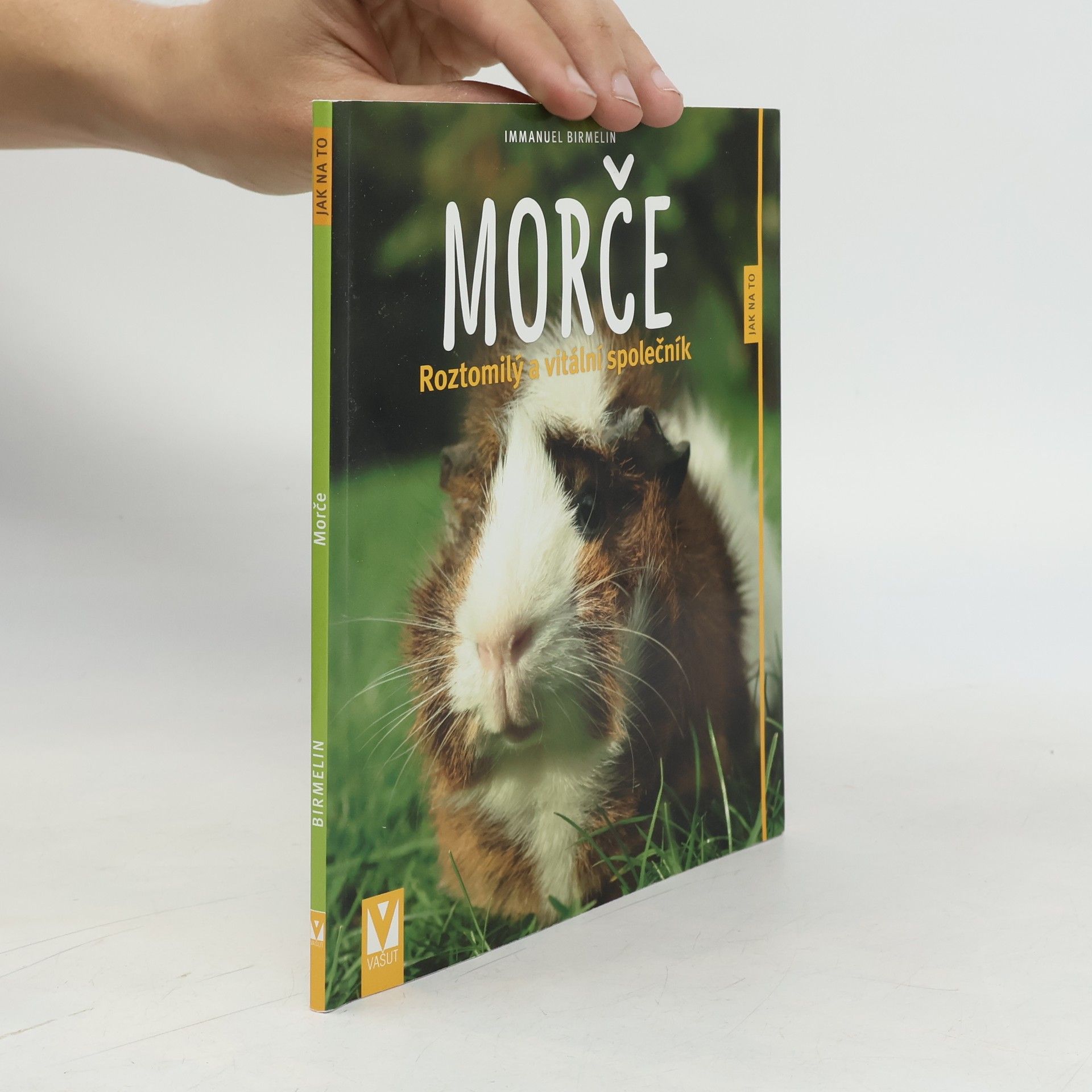Immanuel Birmelin Morče. Roztomilý a vitální společník
