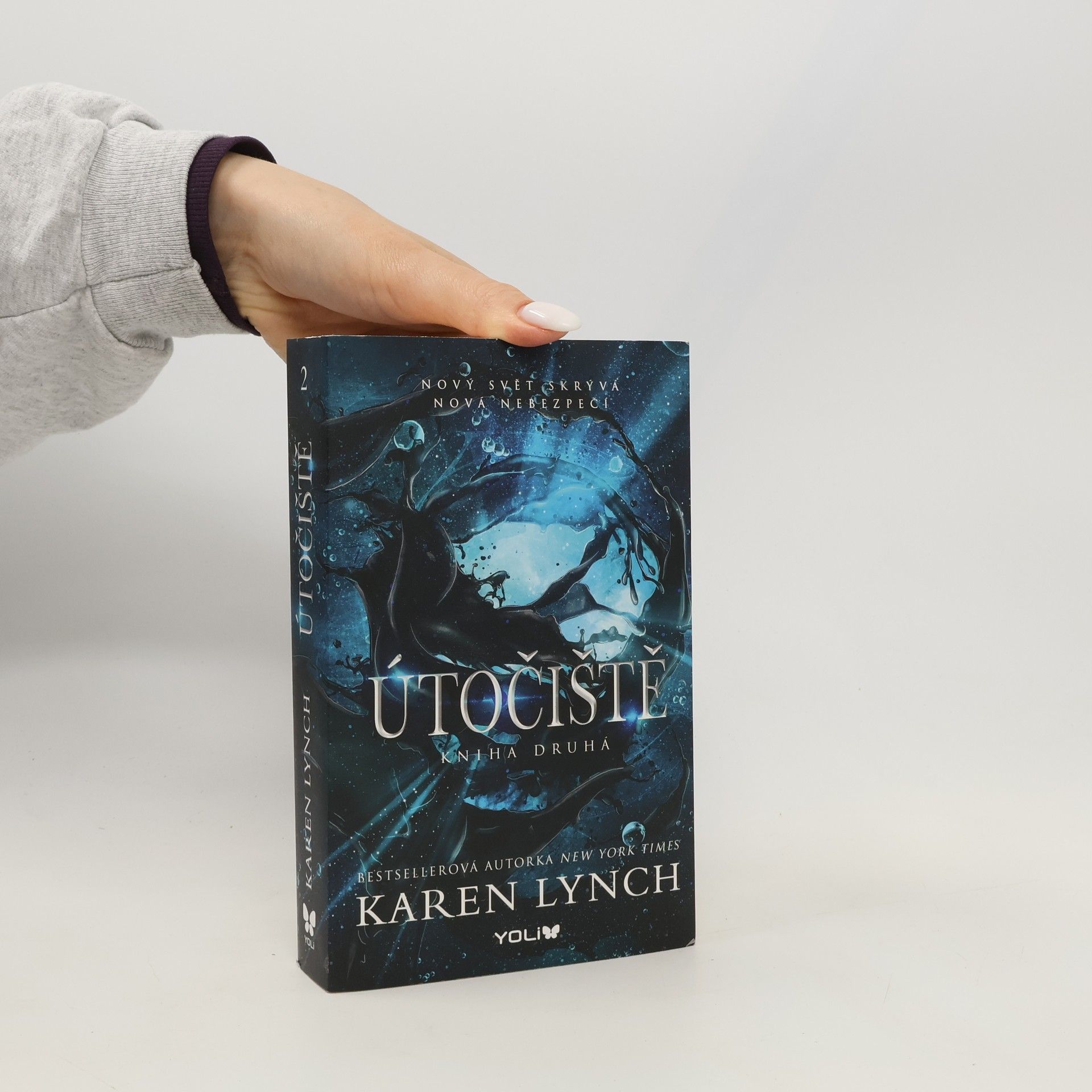 Karen Lynch Útočiště