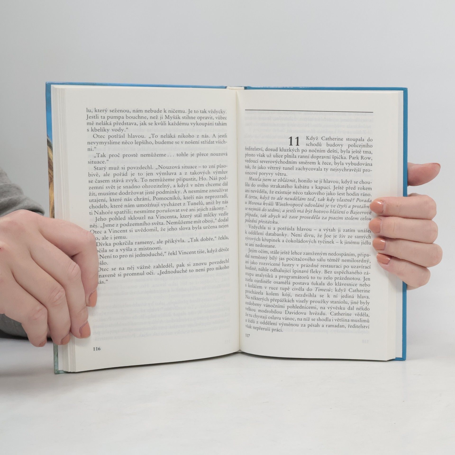 Barbara Hambly Kráska a Zvíře