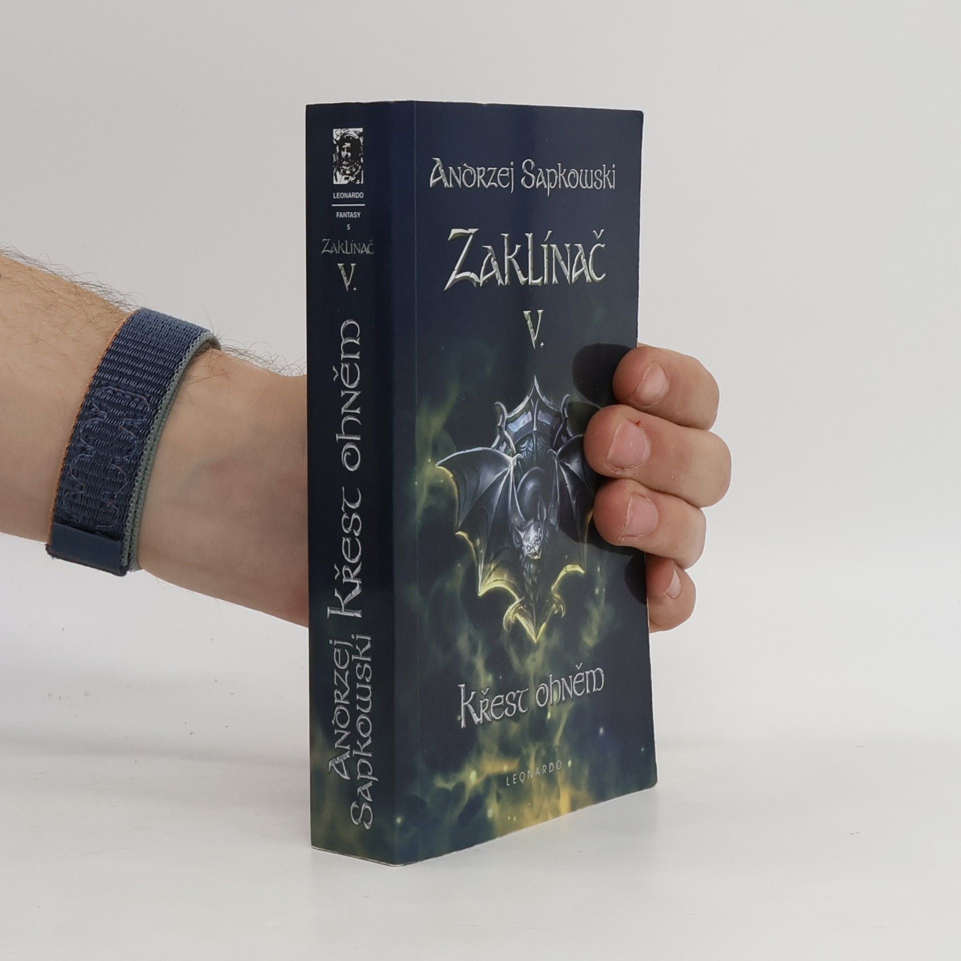 Andrzej Sapkowski Zaklínač V.