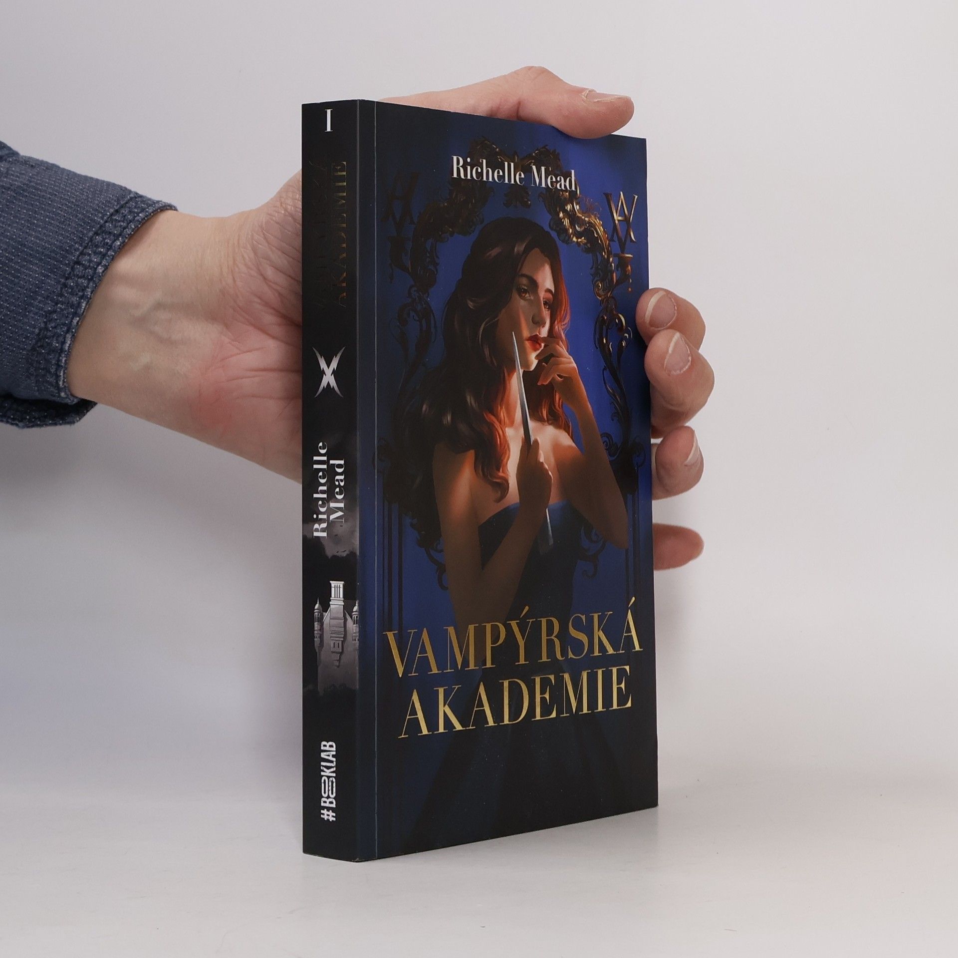 Richelle Mead Vampýrská akademie