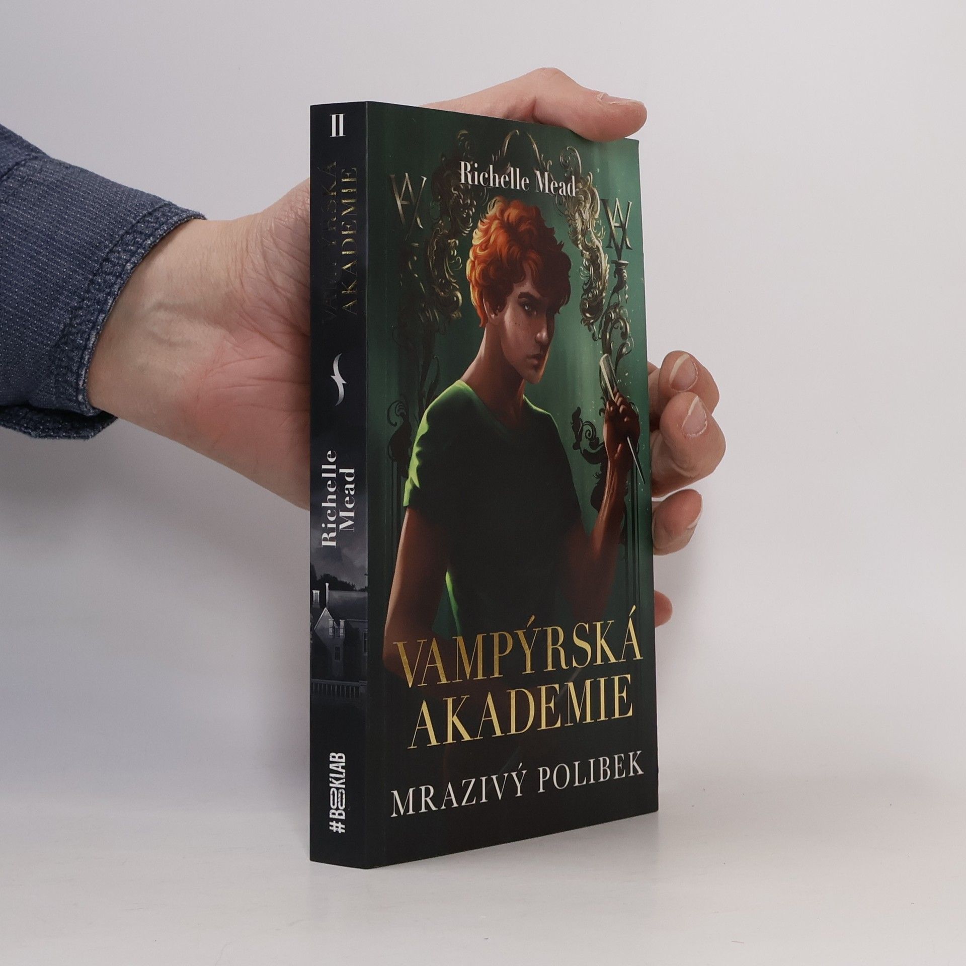 Richelle Mead Vampýrská akademie 2: Mrazivý polibek