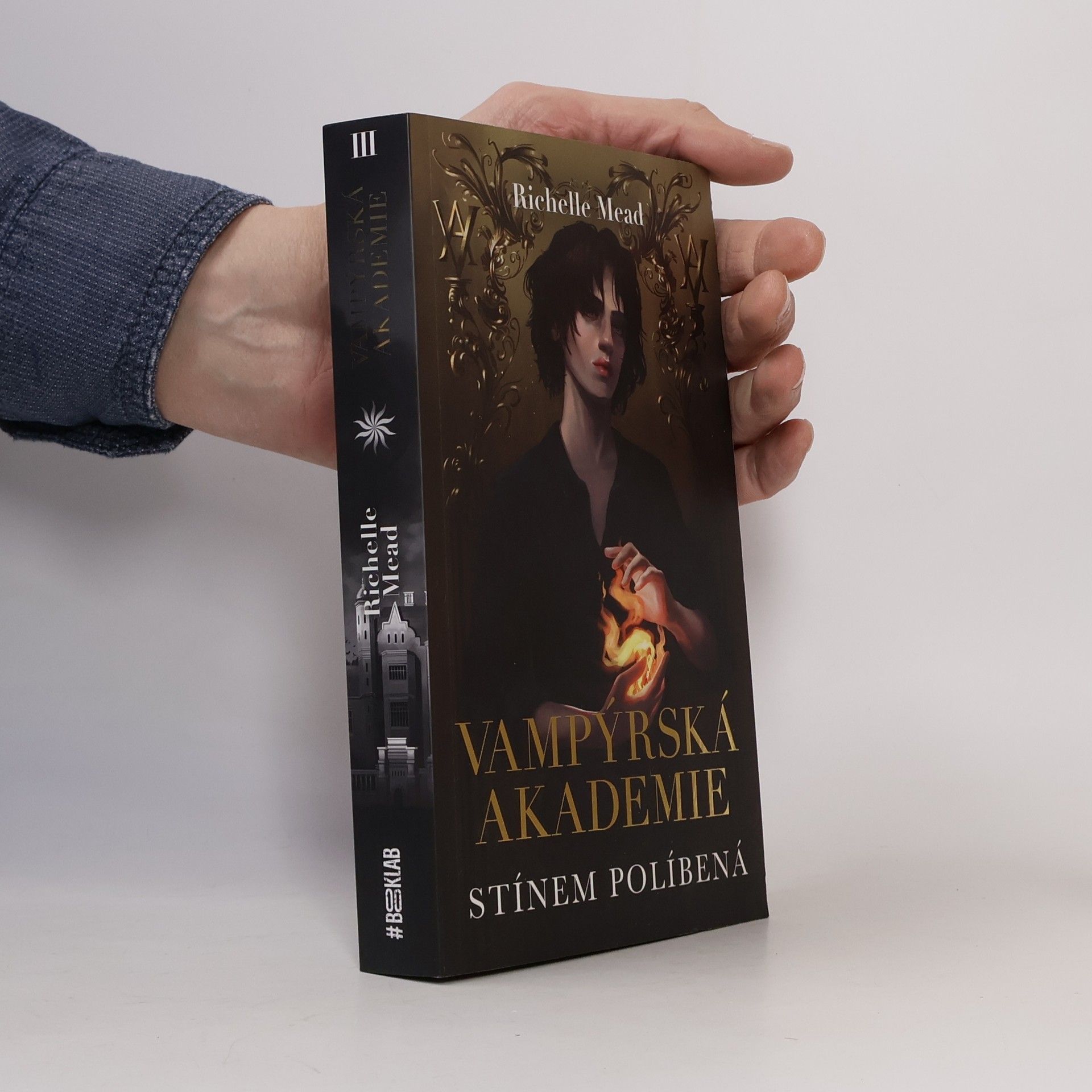 Richelle Mead Vampýrská akademie. Stínem políbená
