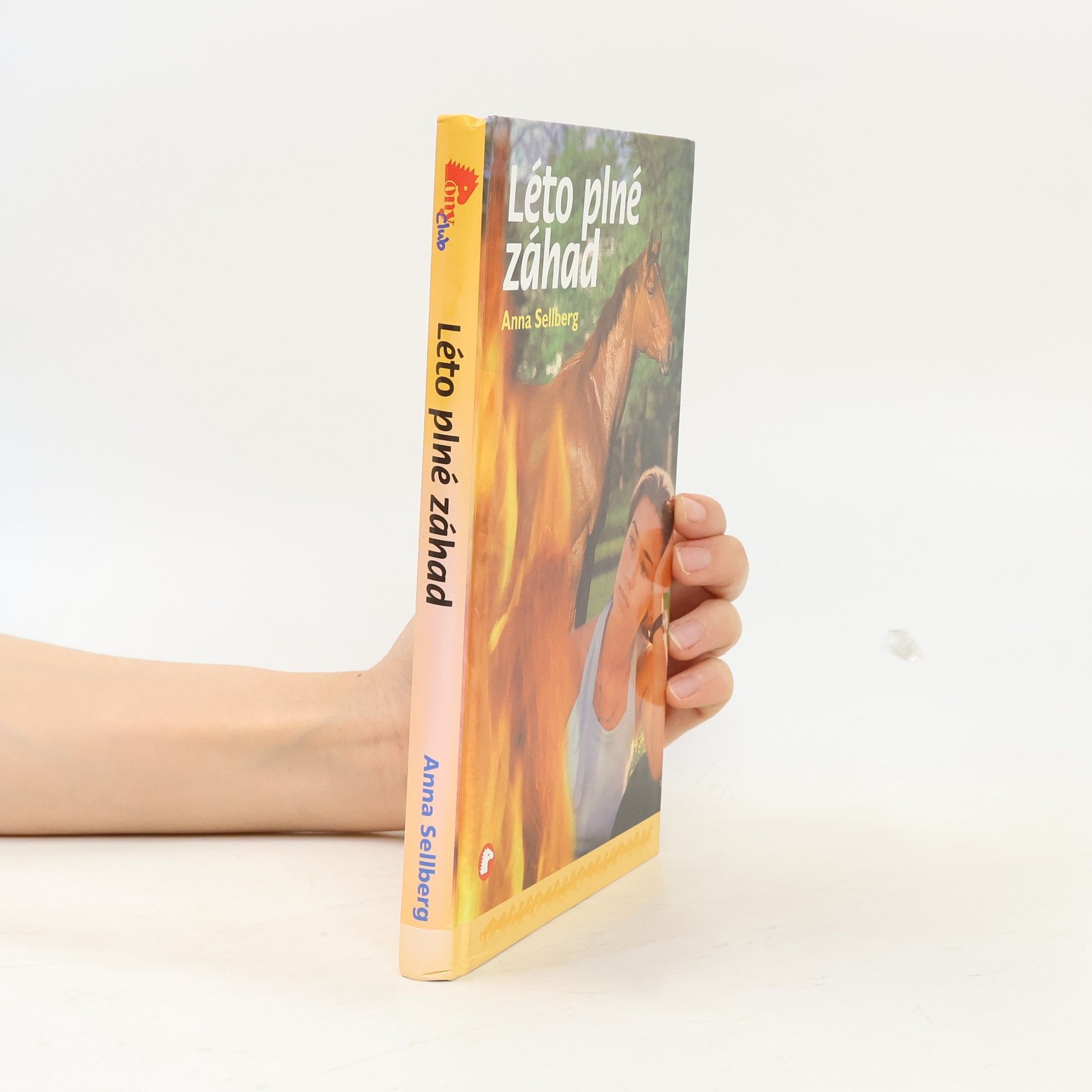 Anna Sellberg Léto plné záhad