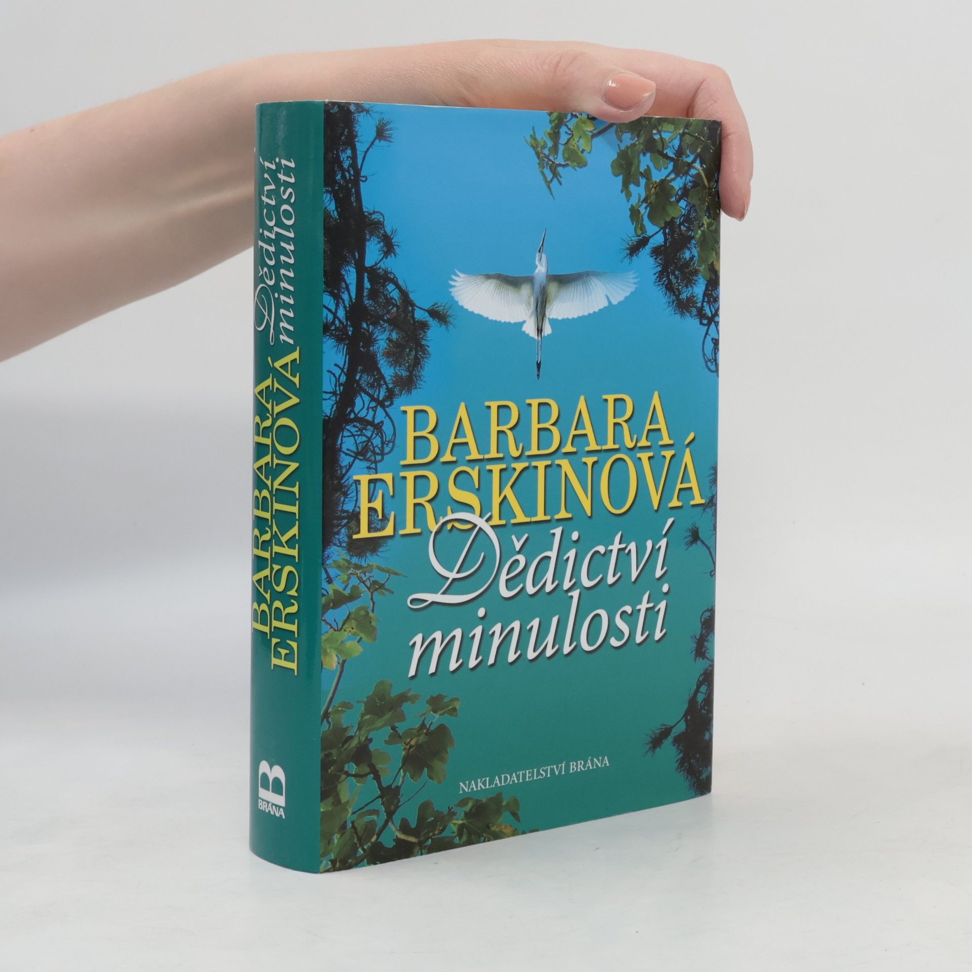 Barbara Erskinová Dědictví minulosti