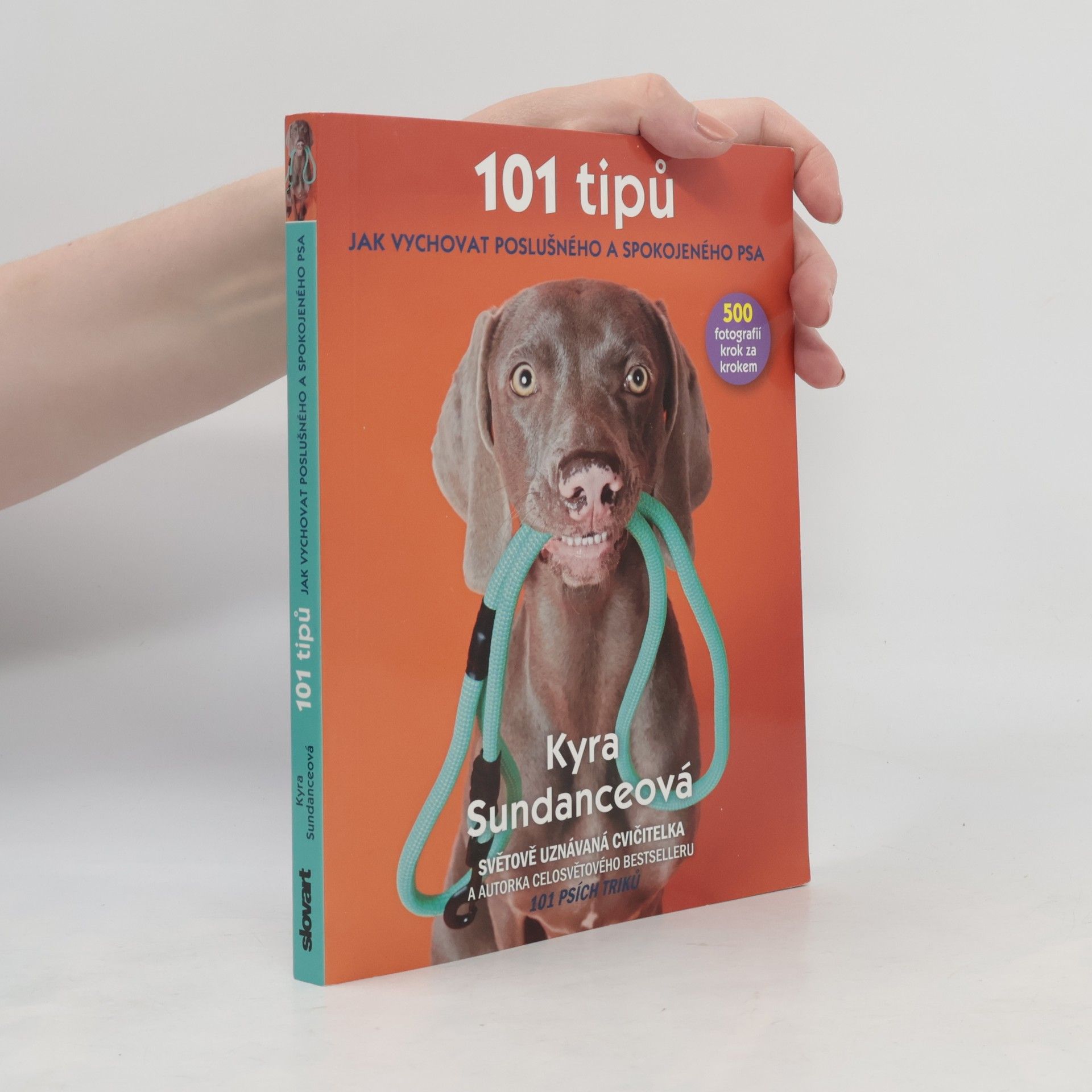 101 tipů jak vychovat poslušného a spokojeného psa