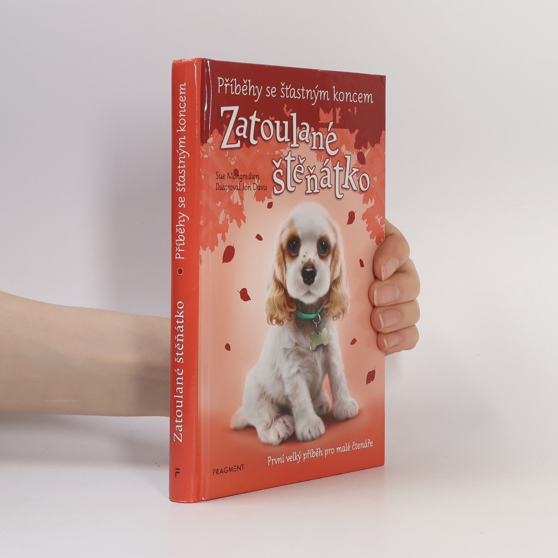 Lucy Diamond Zatoulané štěňátko