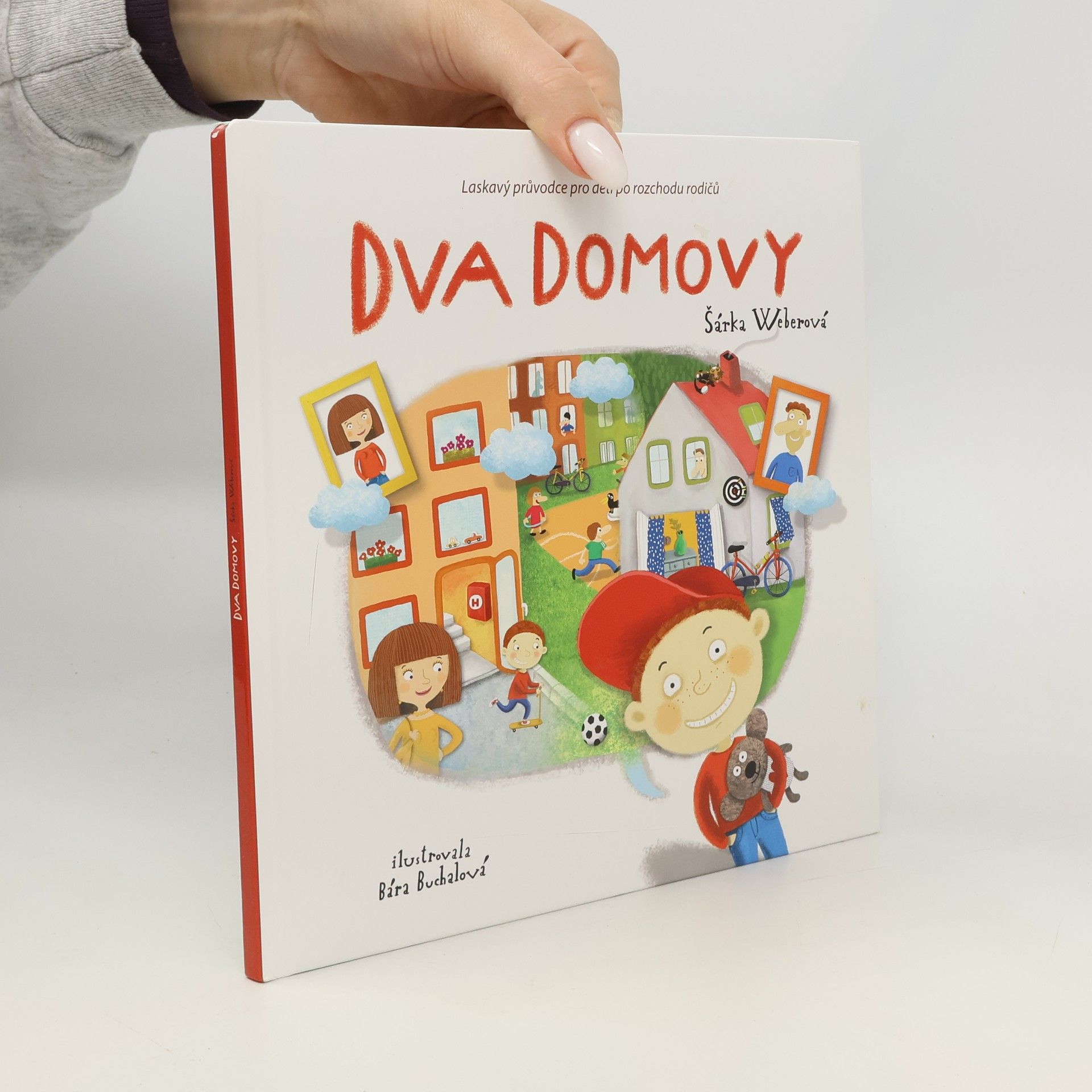 Dva domovy