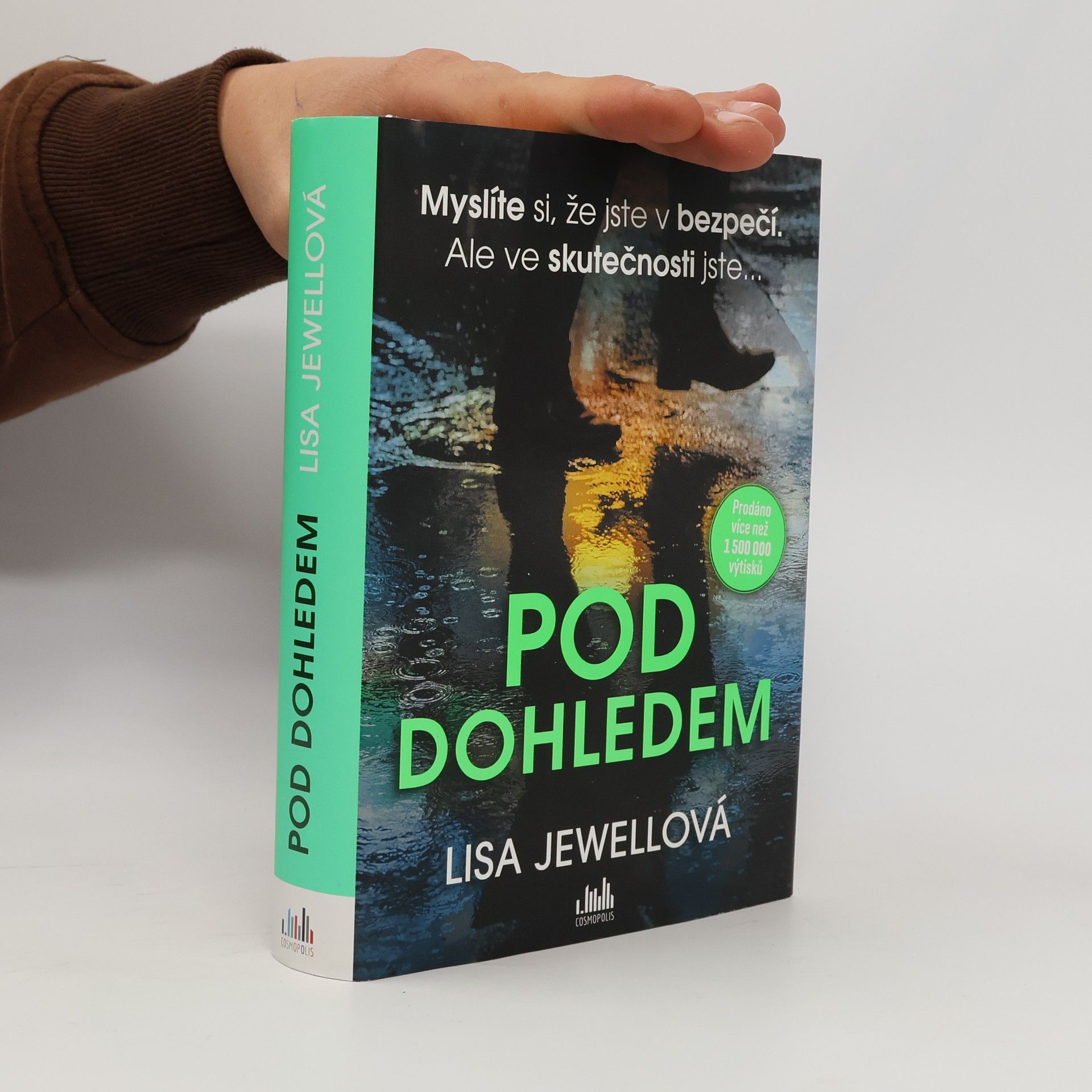 Lisa Jewell Pod dohledem