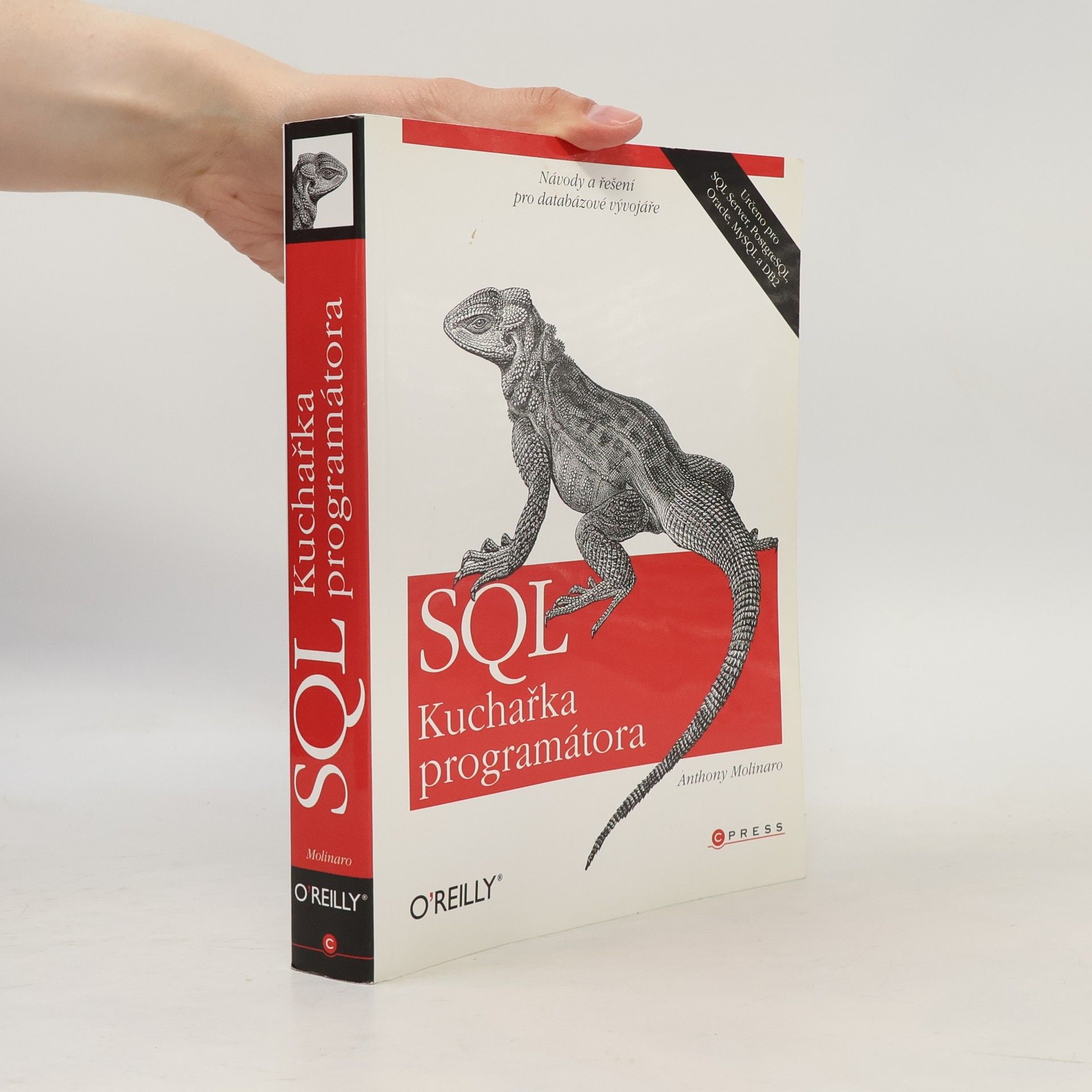 Anthony Molinaro SQL. Kuchařka programátora