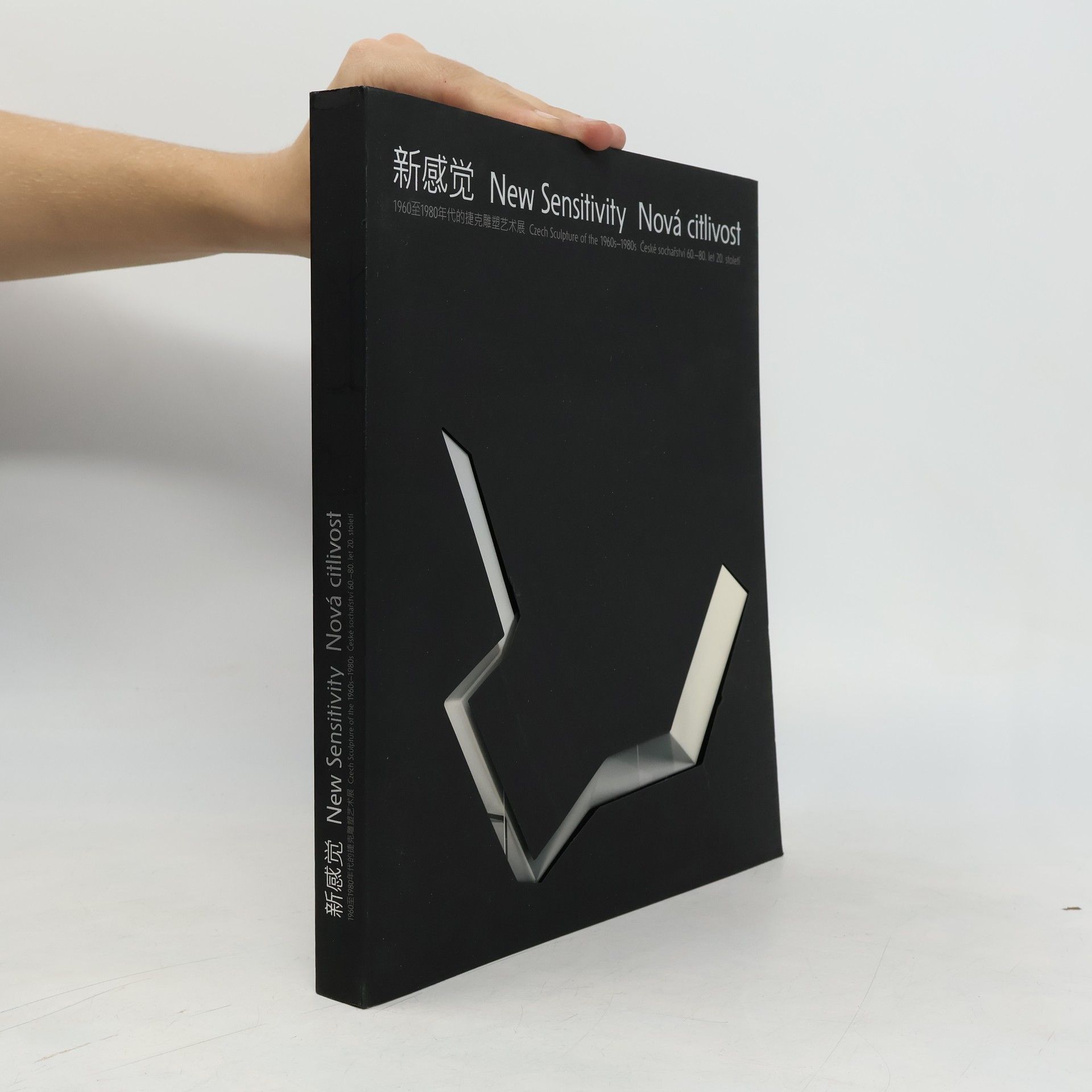 Autorenkollektiv 新感觉. New Sensitivity. Nová citlivost