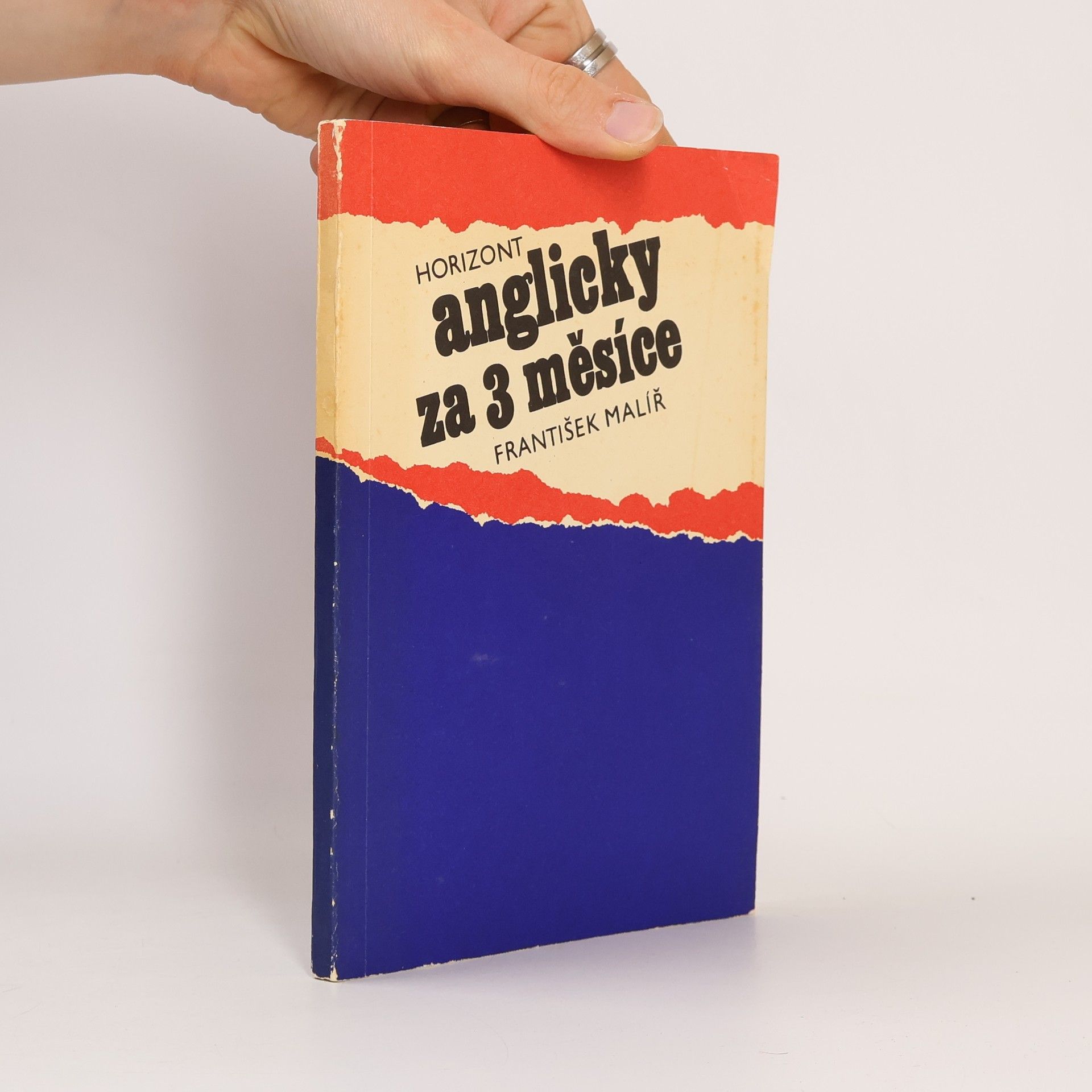 František Malíř Anglicky za 3 měsíce