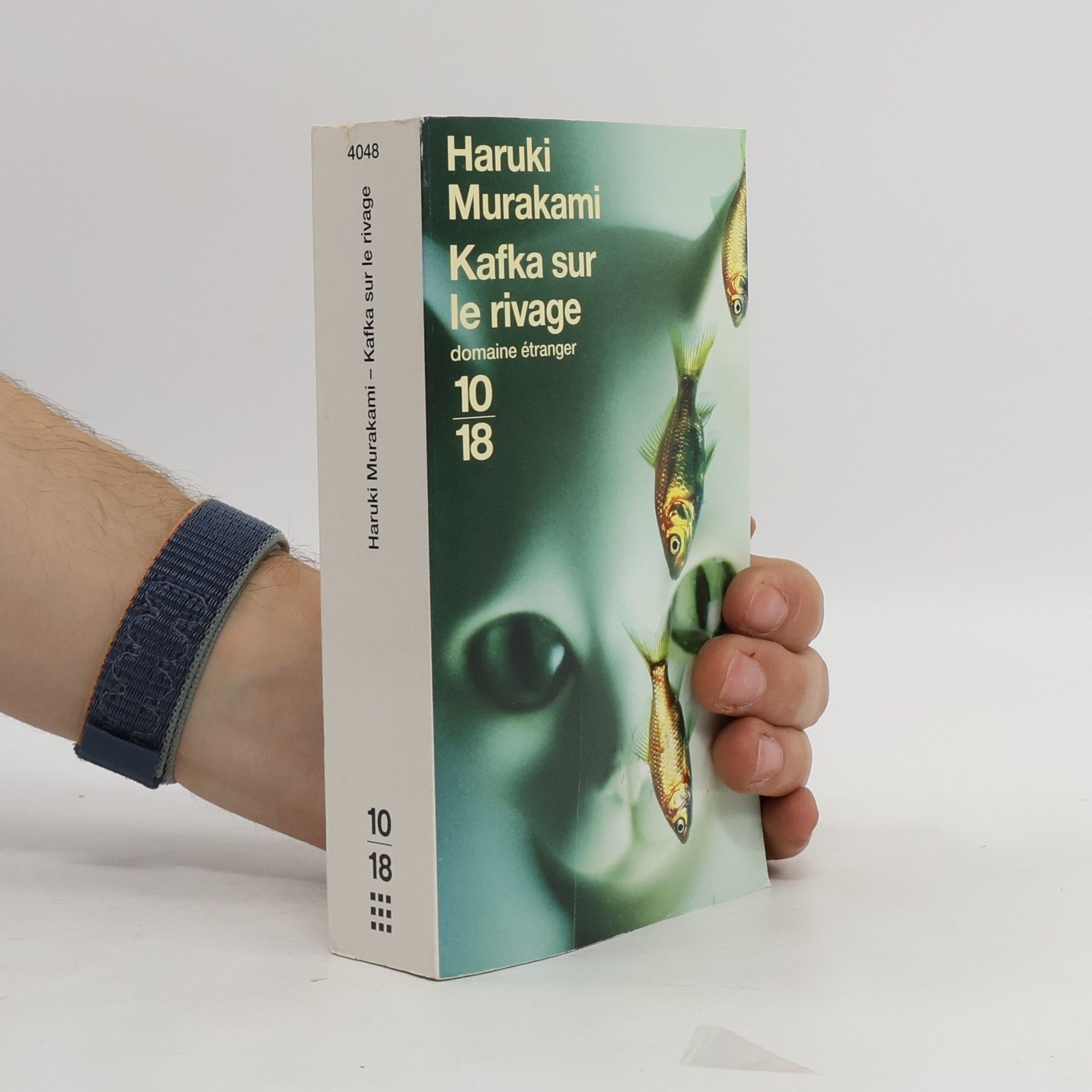Haruki Murakami Kafka sur le rivage