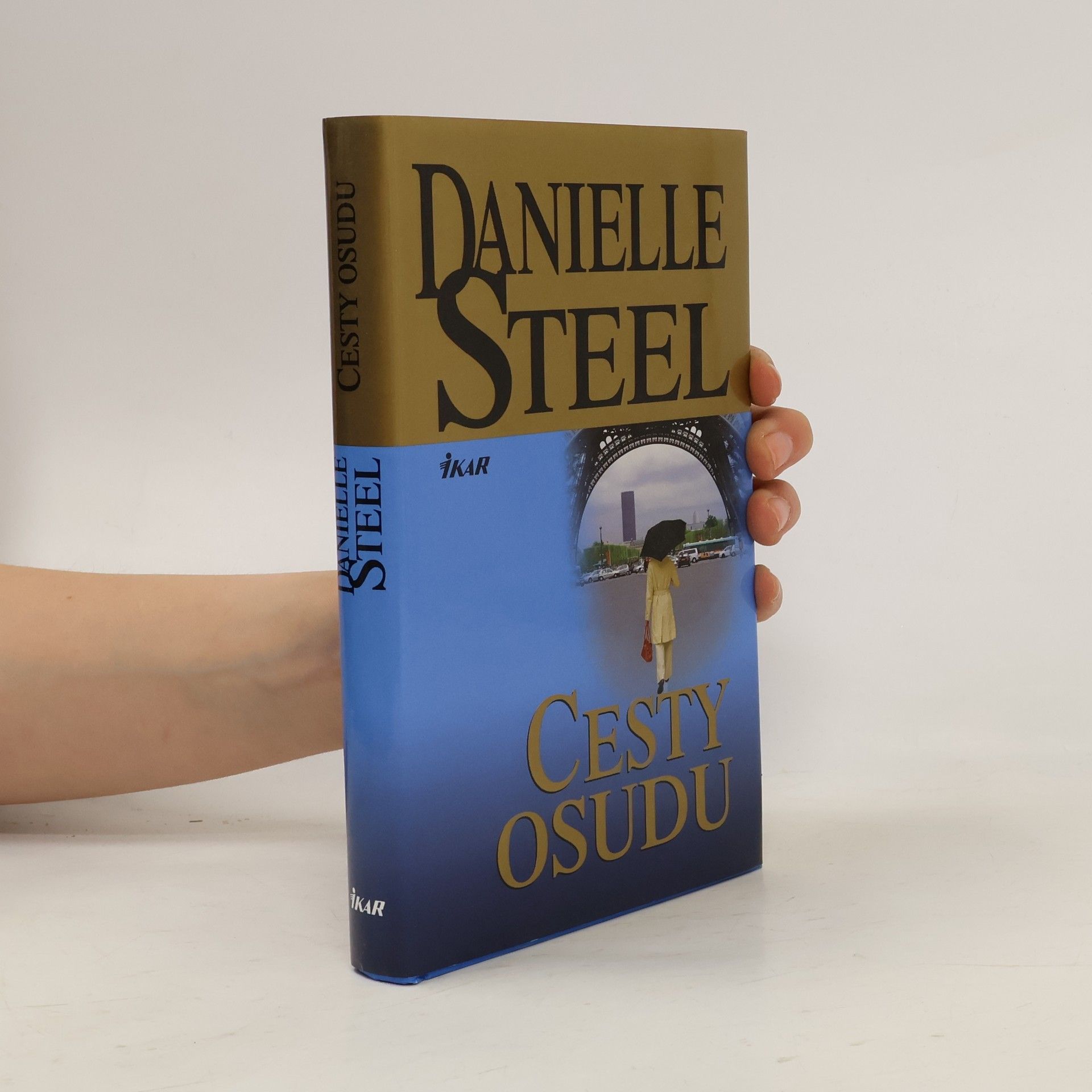 Danielle Steel Cesty osudu