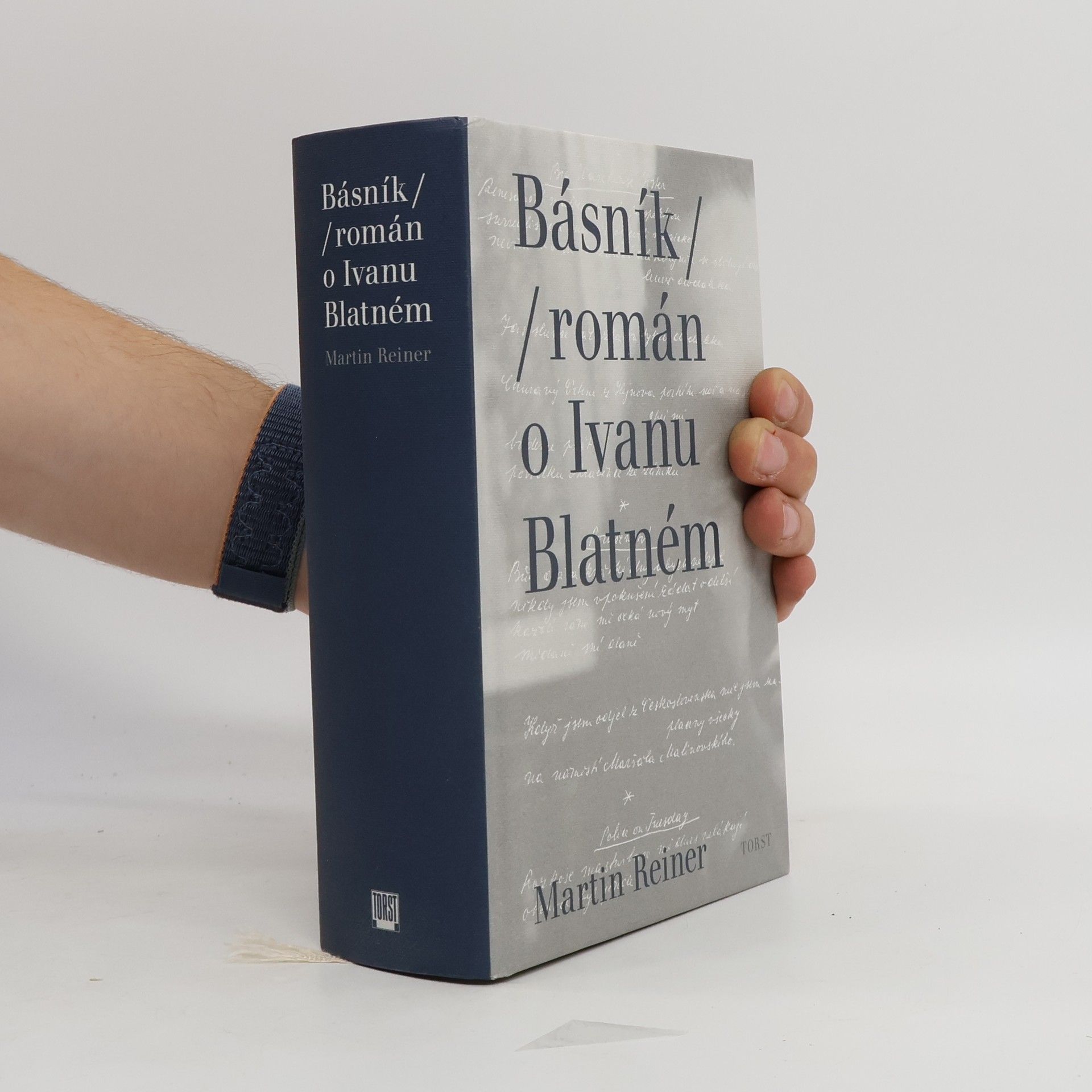 Martin Reiner Básník. Román o Ivanu Blatném