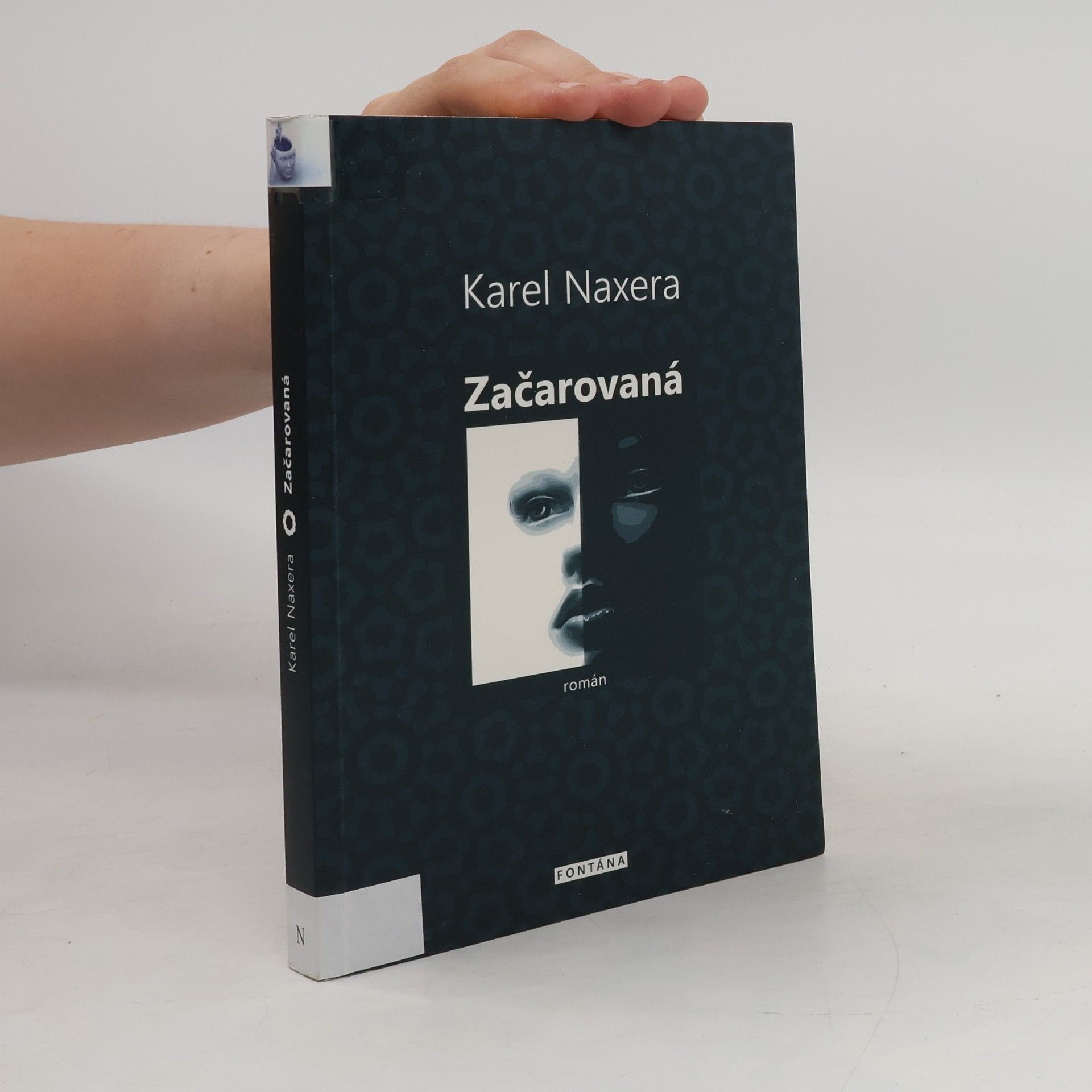 Karel Naxera Začarovaná