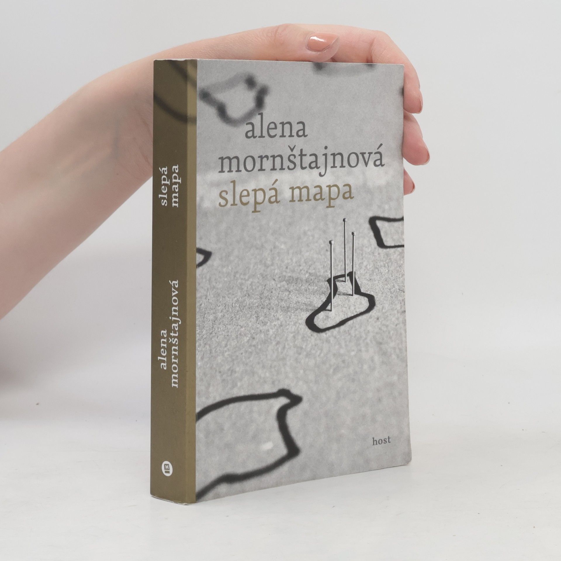 Alena Mornštajnová Slepá mapa