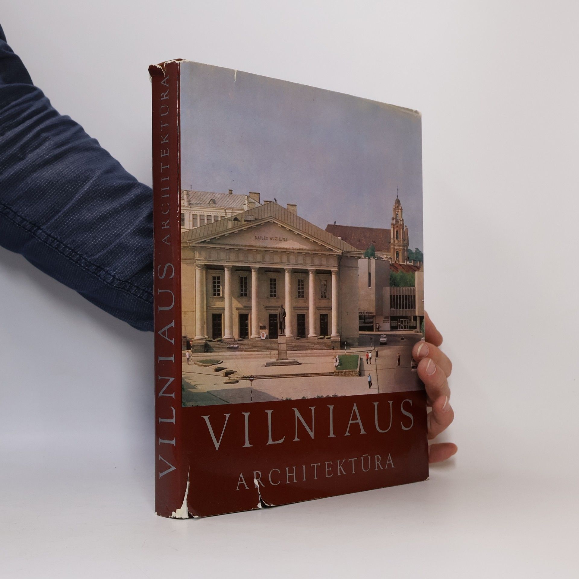 Autorenkollektiv Vilniaus architektura