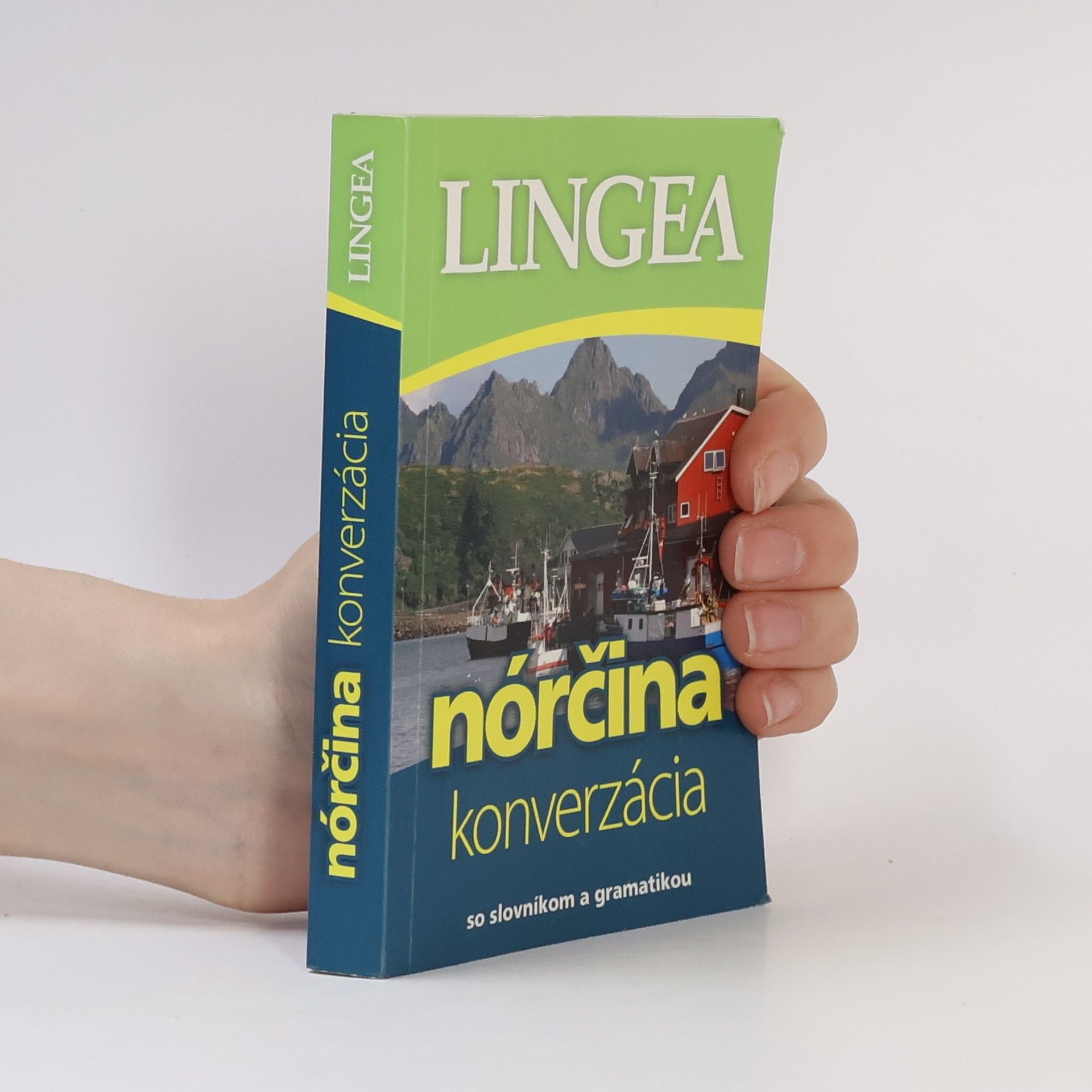 Auteurscollectief Nórčina. Konverzácia so slovníkom a gramatikou