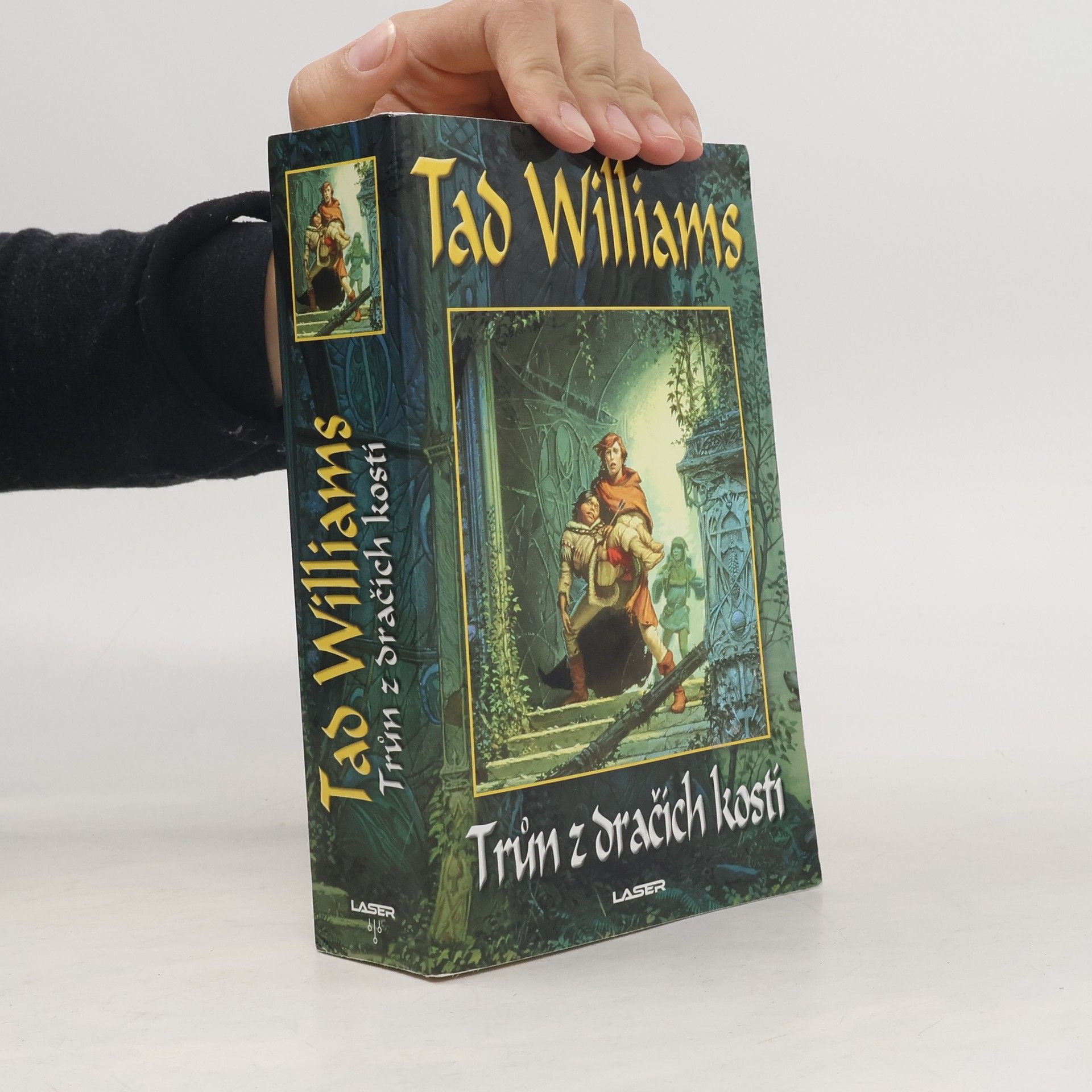 Tad Williams Jasný osten, žal a trn. První kniha trilogie, Trůn z dračích kostí