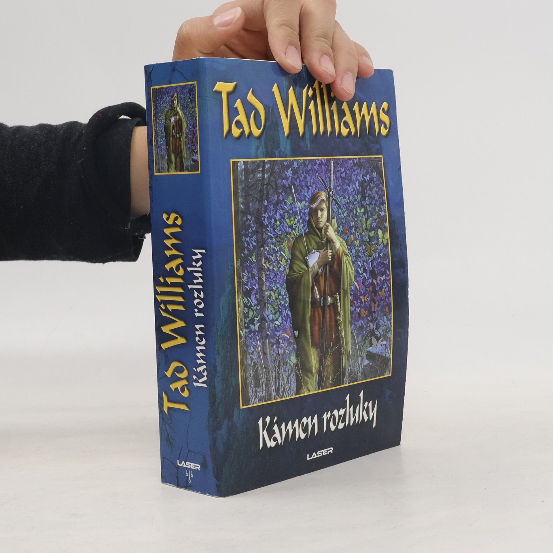 Tad Williams Kámen rozluky