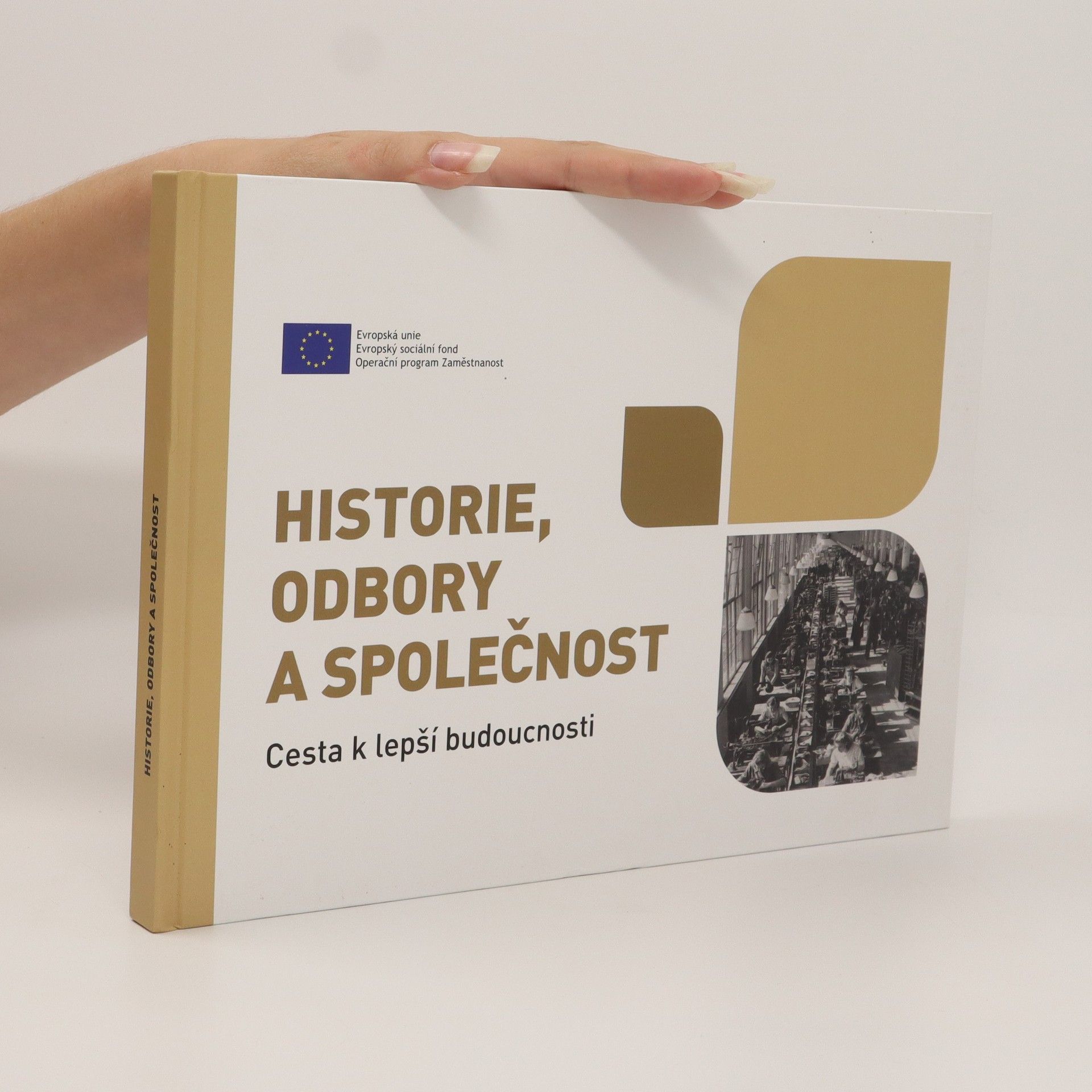 Kolektiv autorů Historie, odbory a společnost : cesta k lepší budoucnosti