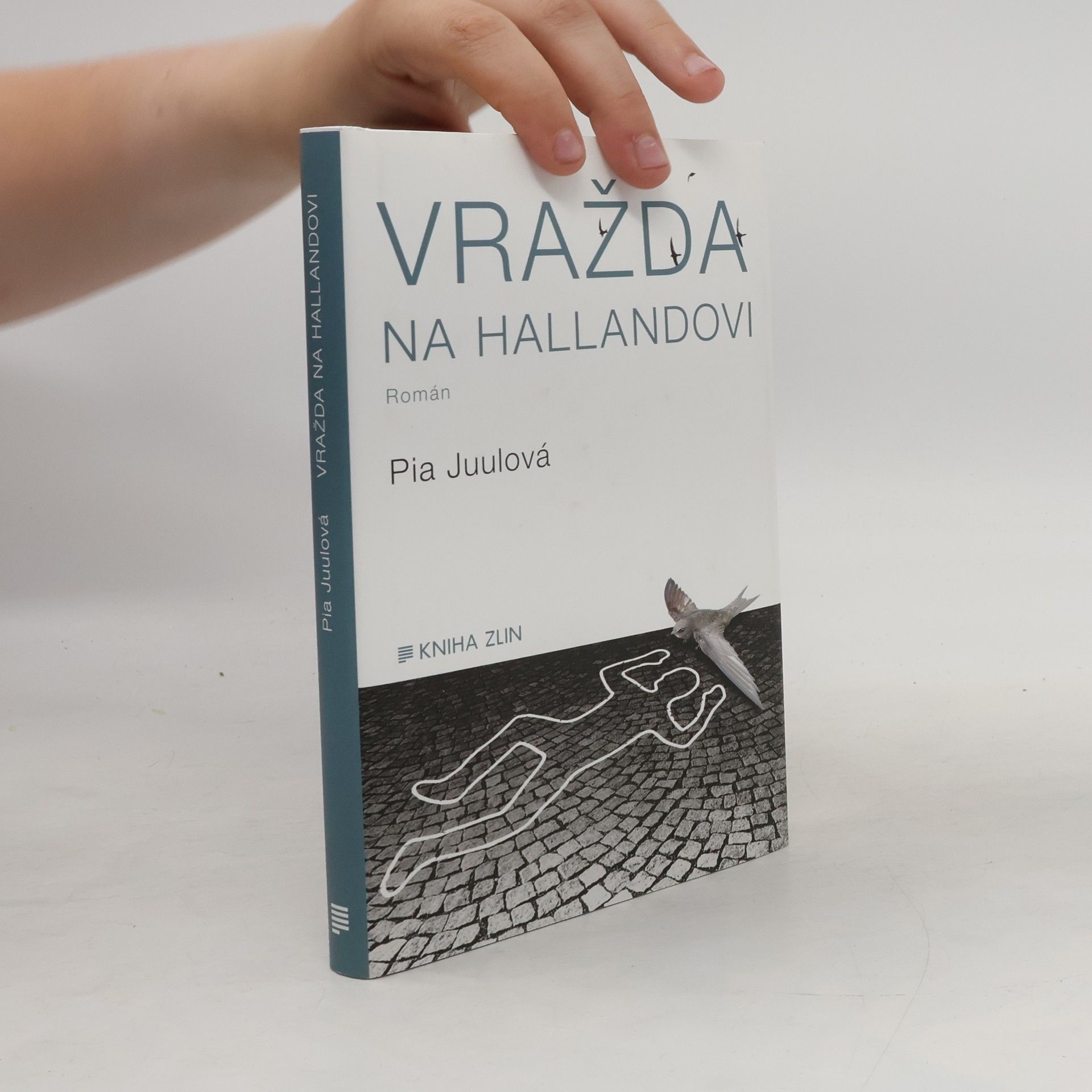 Pia Juul Vražda na Hallandovi