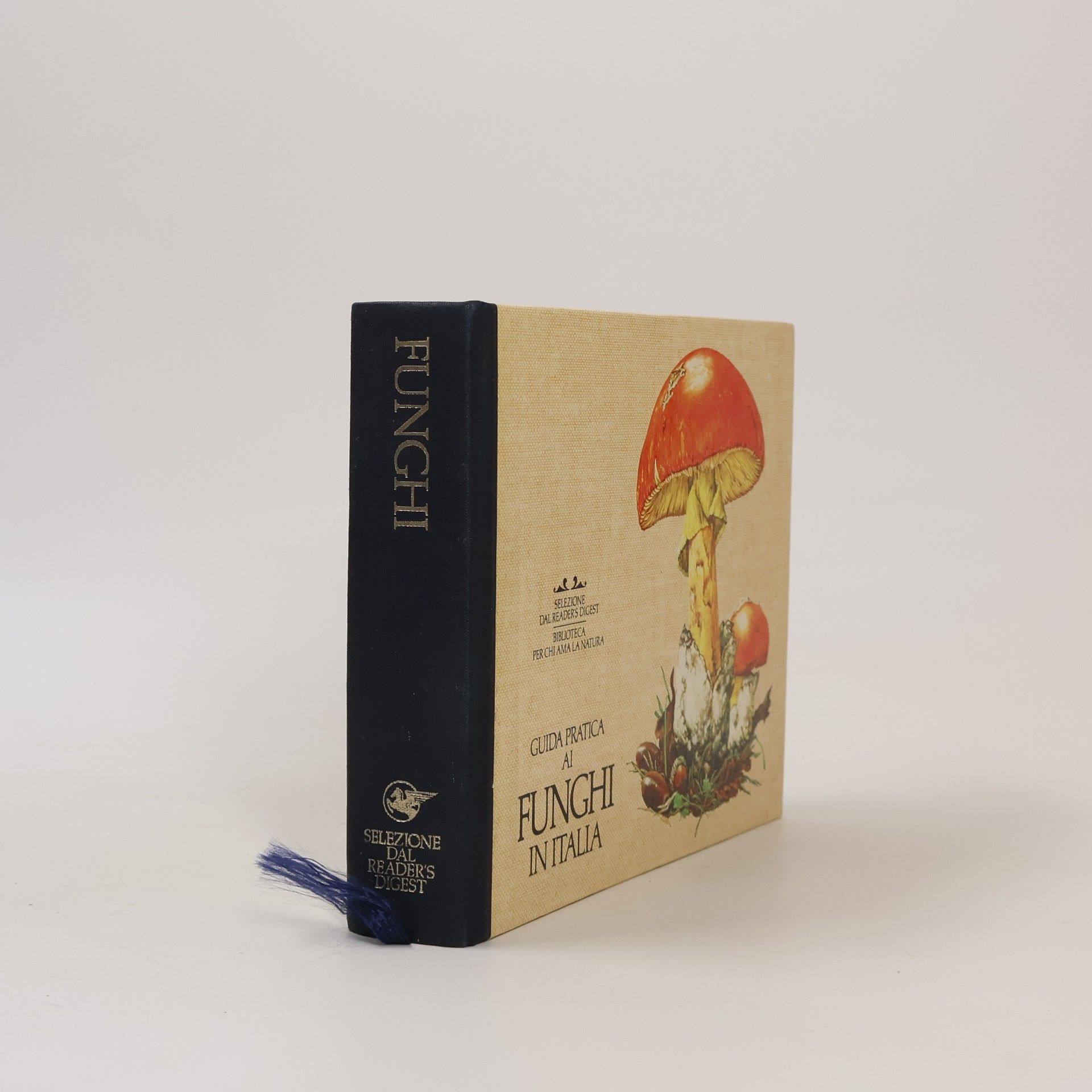 Autorenkollektiv Guida pratica ai funghi in Italia