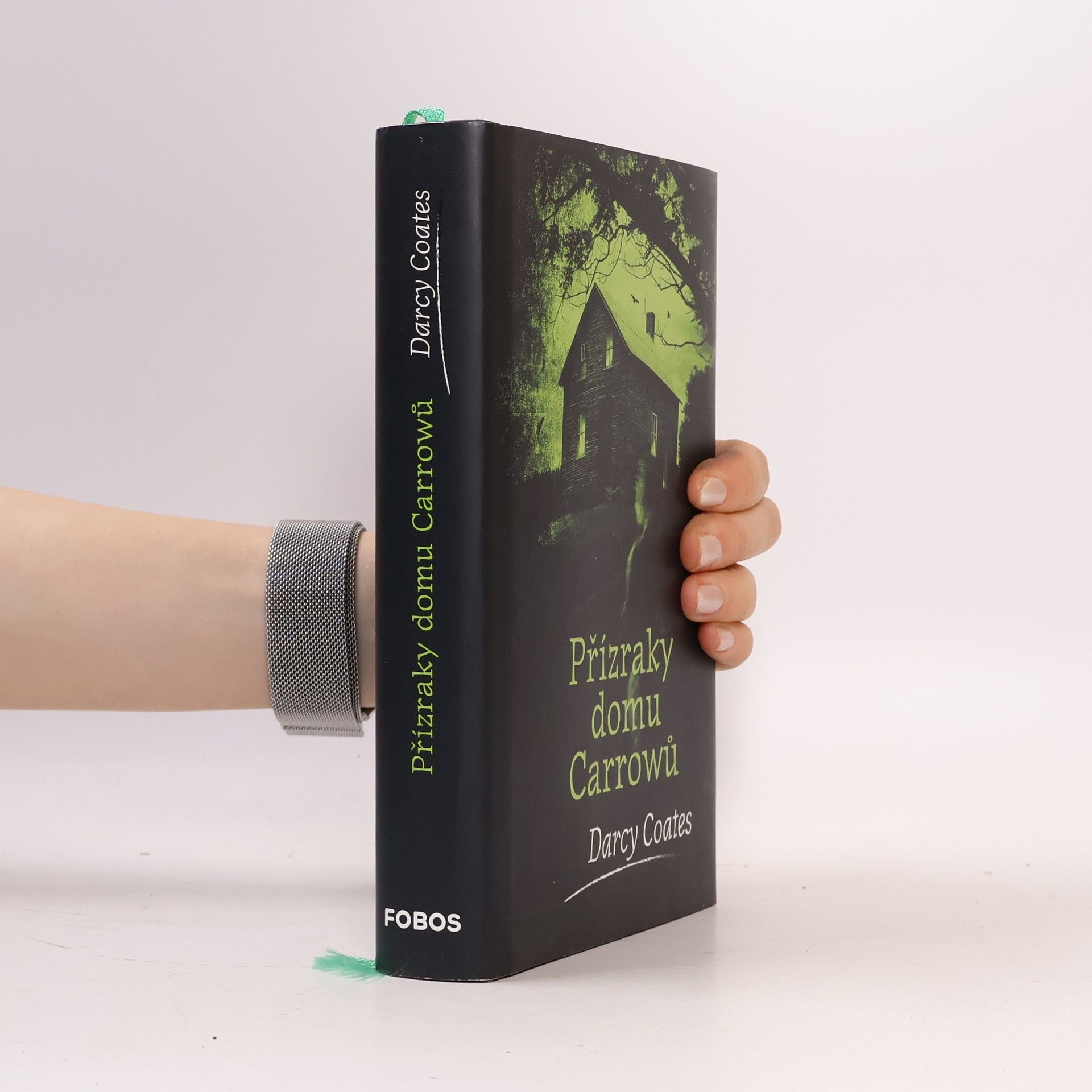 Darcy Coates Přízraky domu Carrowů