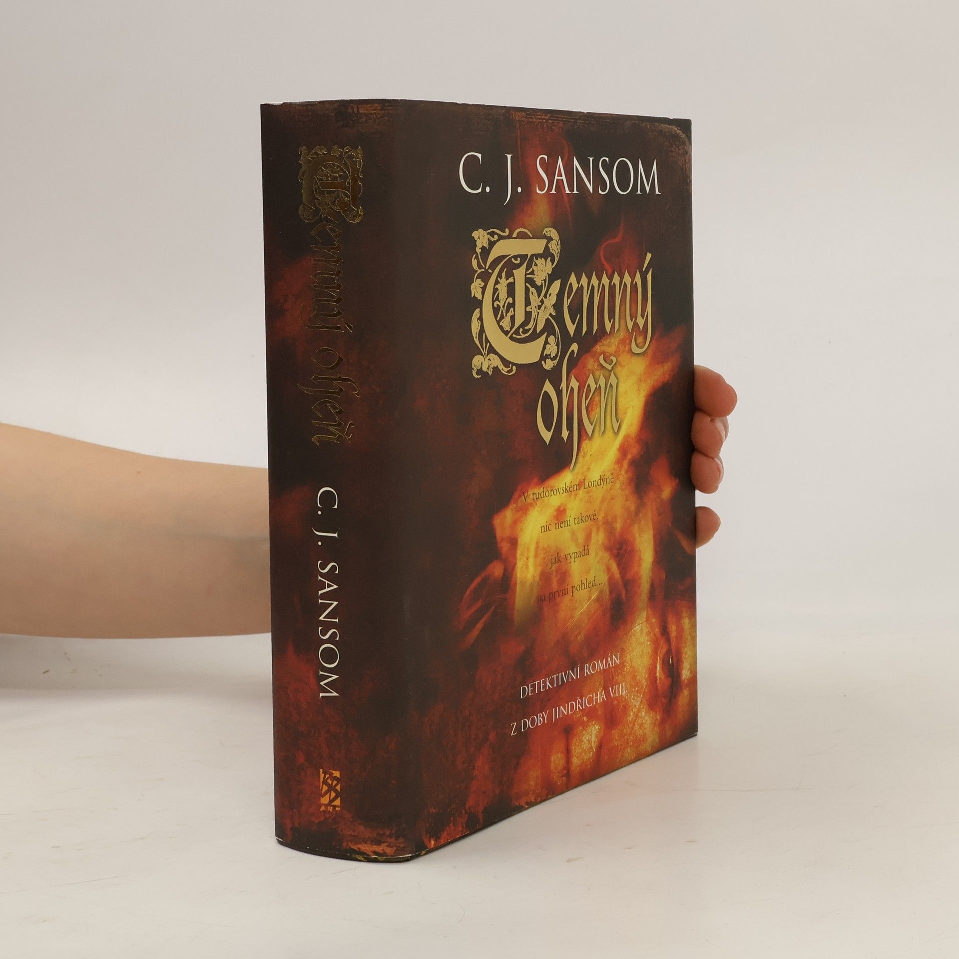 Christopher John Sansom Temný oheň : detektivní román z doby Jindřicha VIII.