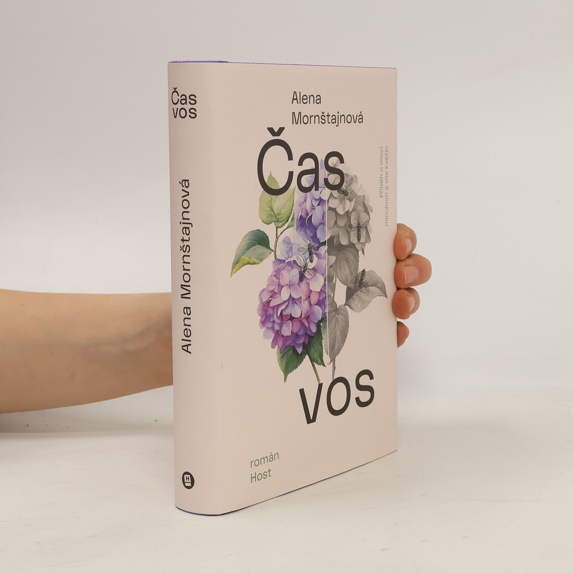 Alena Mornštajnová Čas vos