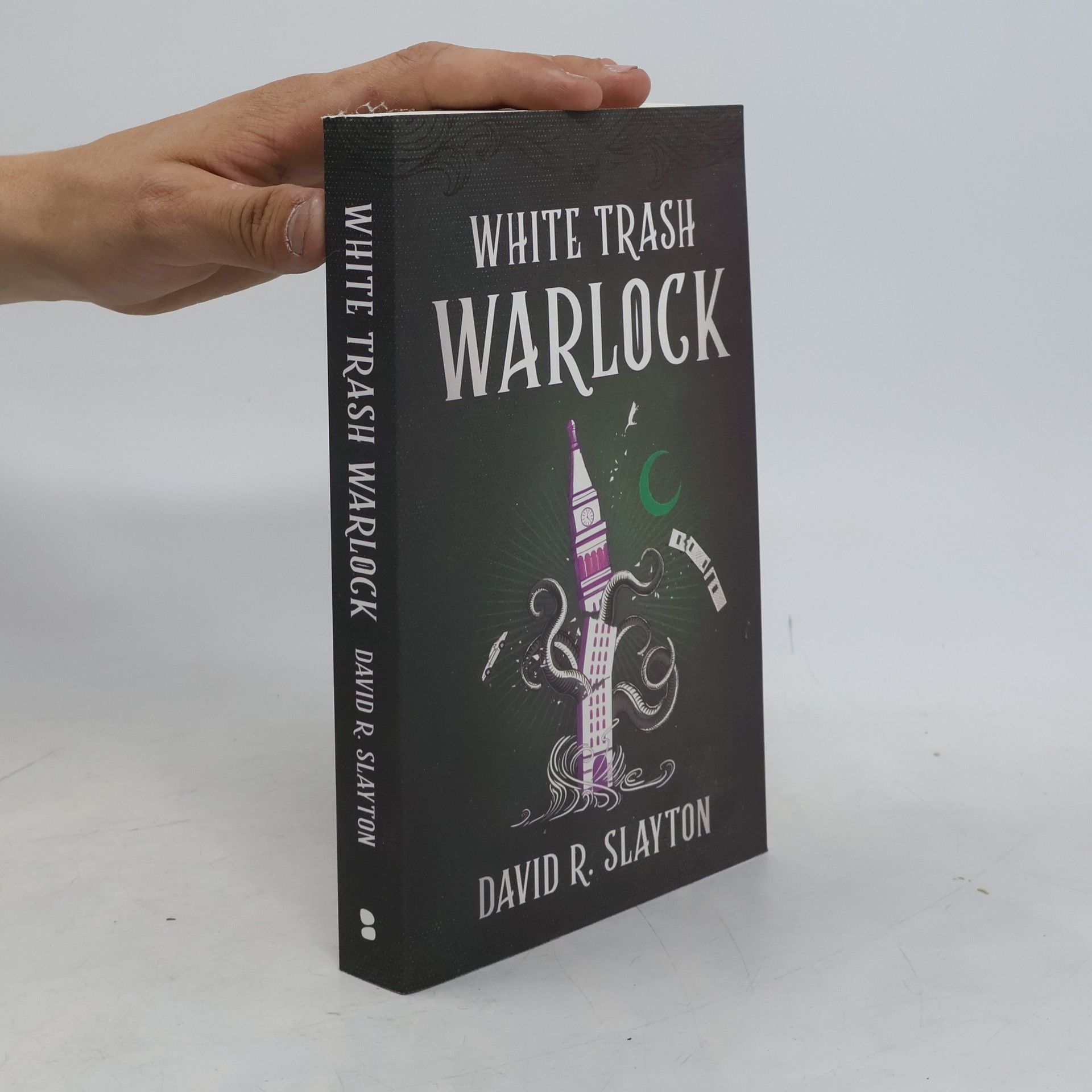 David R. Slayton White Trash Warlock