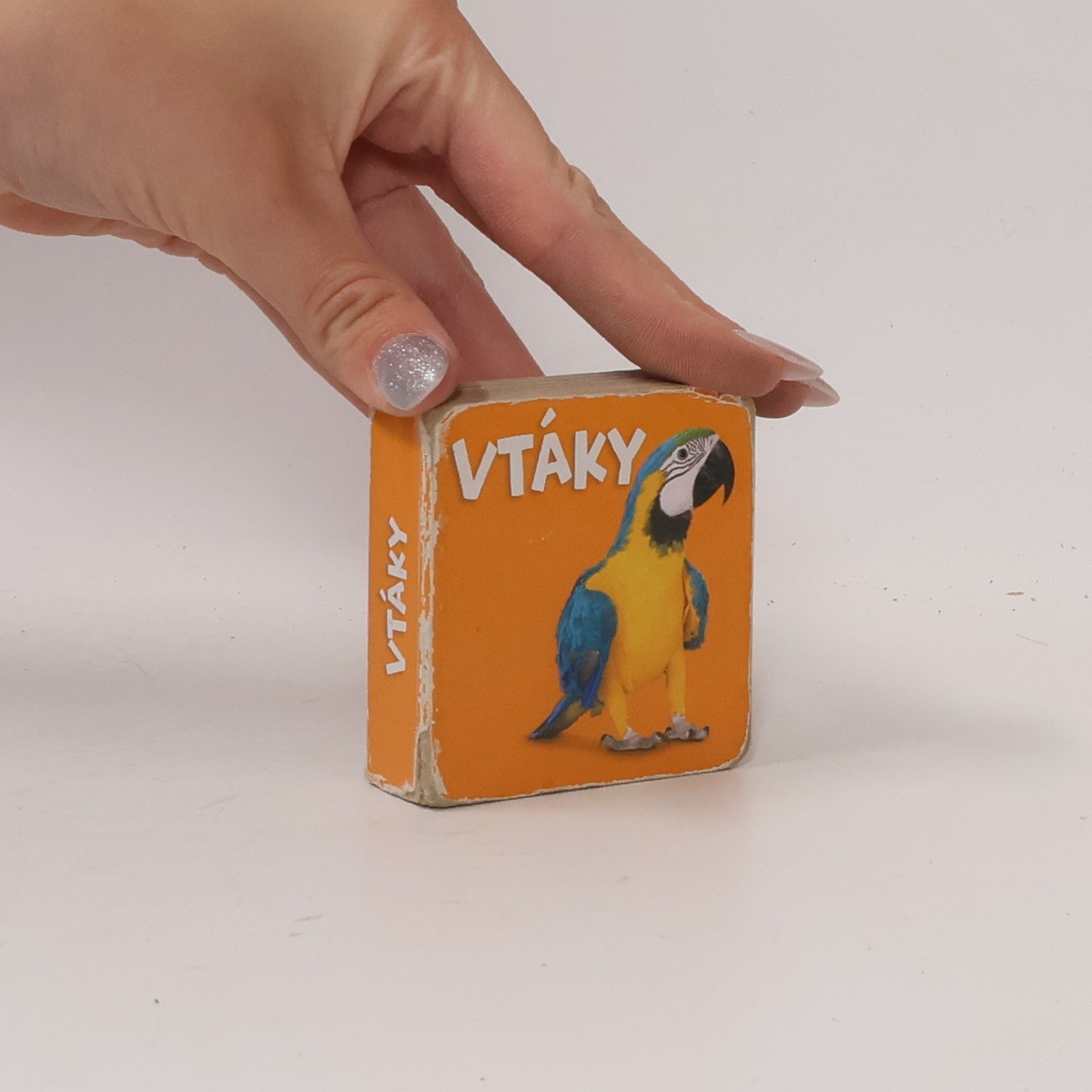 Auteurscollectief Vtáky