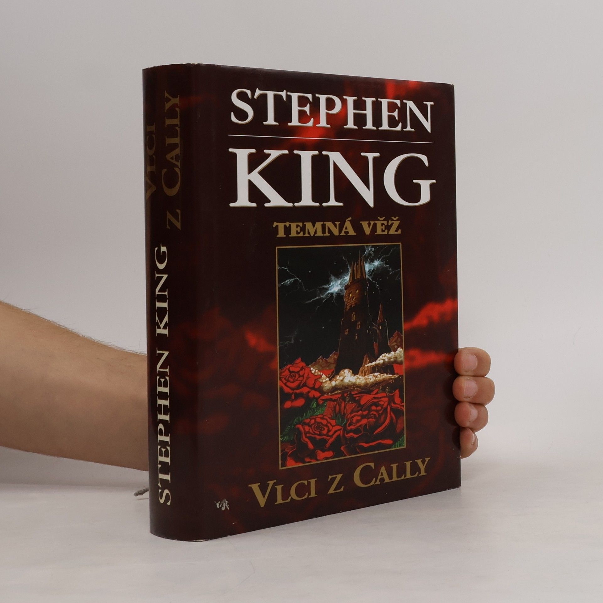 Stephen King Temná věž: Vlci z Cally