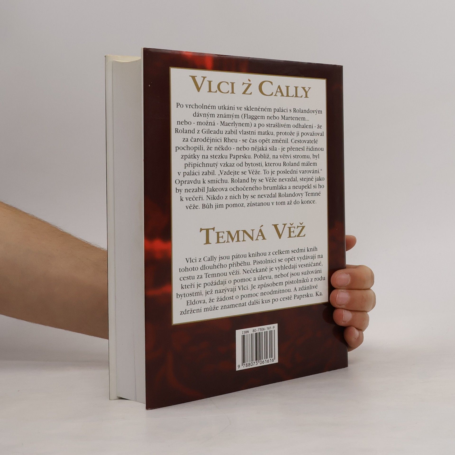 Stephen King Temná věž: Vlci z Cally
