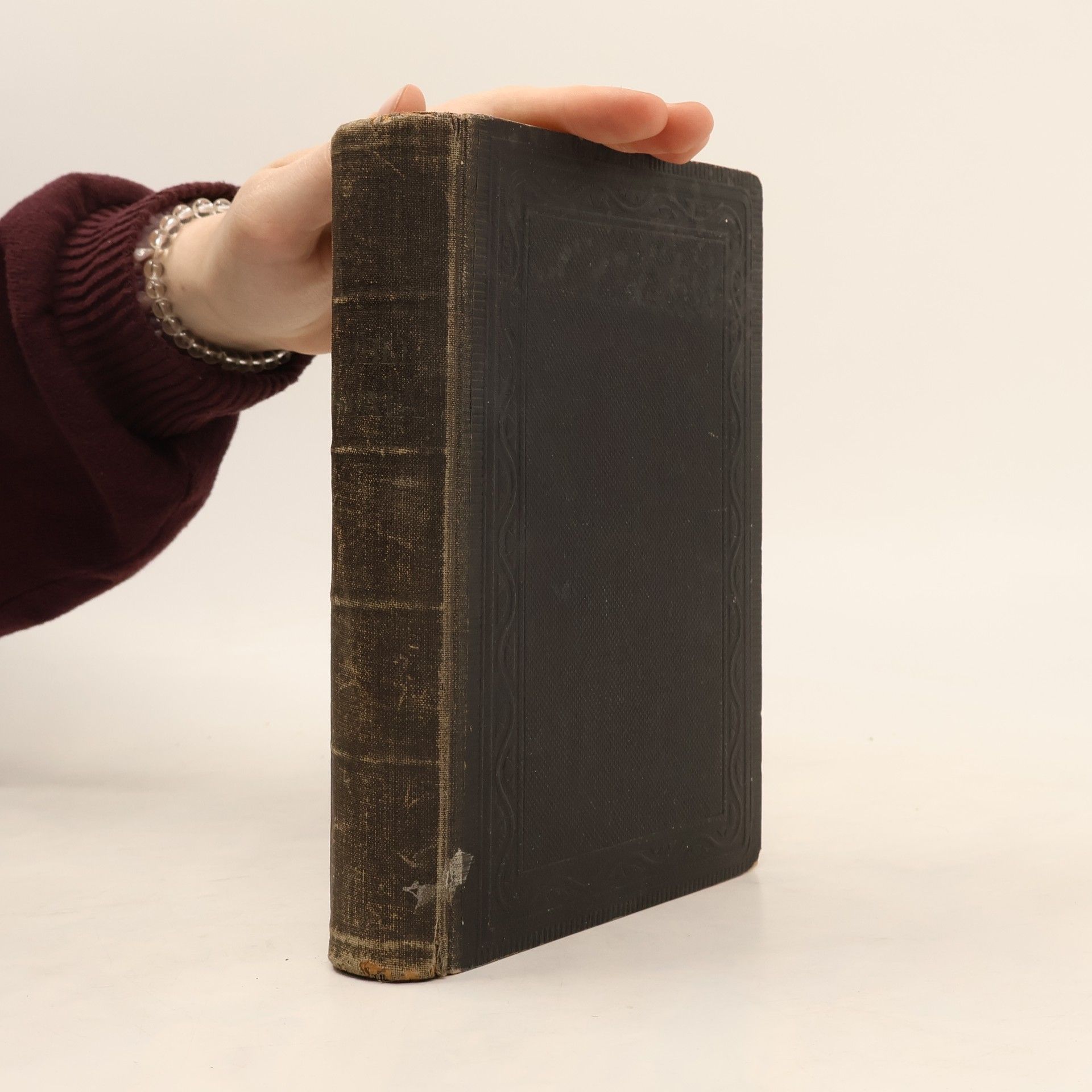 Kolektív autorov Biblí svatá aneb Všecka Svatá písma Starého i Nového zákona. Podle posledního vydání kralického z roku 1613